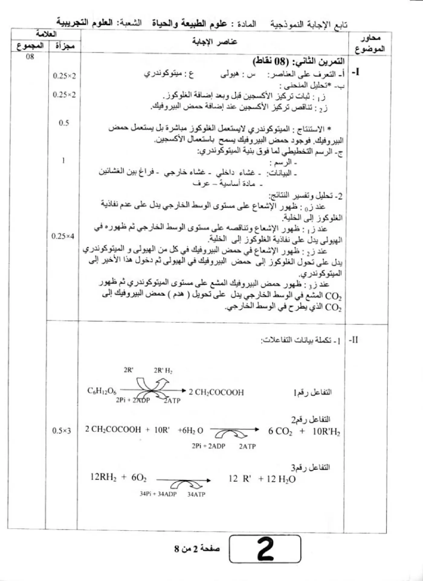 الصفحة 2 من 8