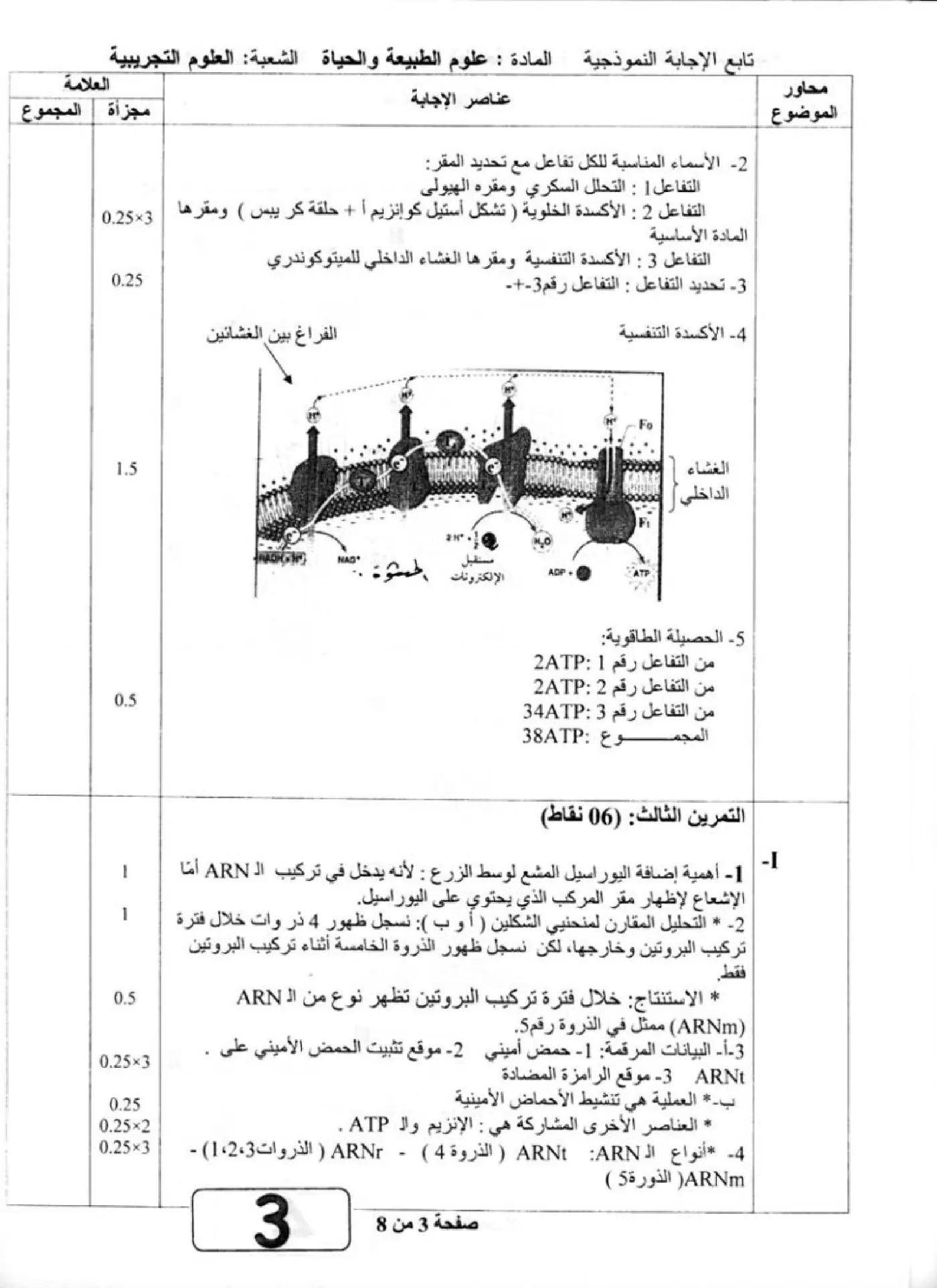 الصفحة 3 من 8