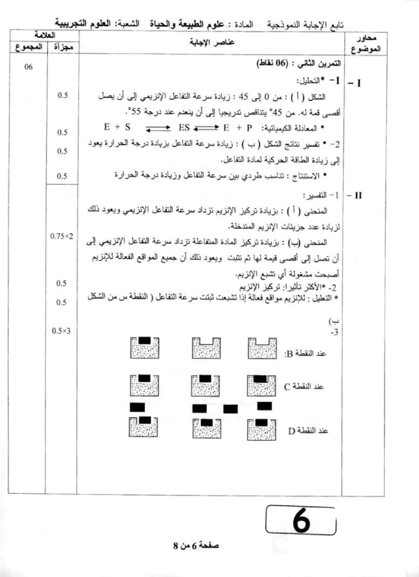الصفحة 6 من 8