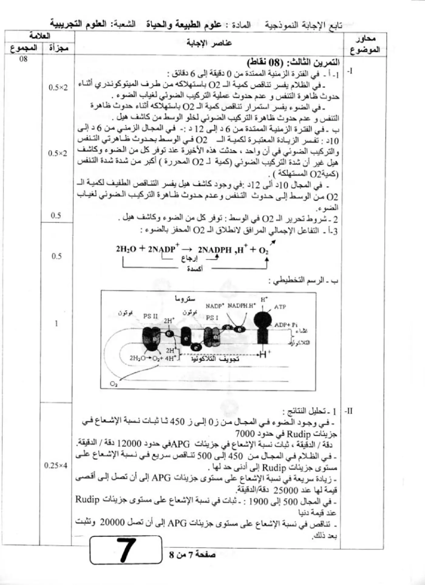 الصفحة 7 من 8