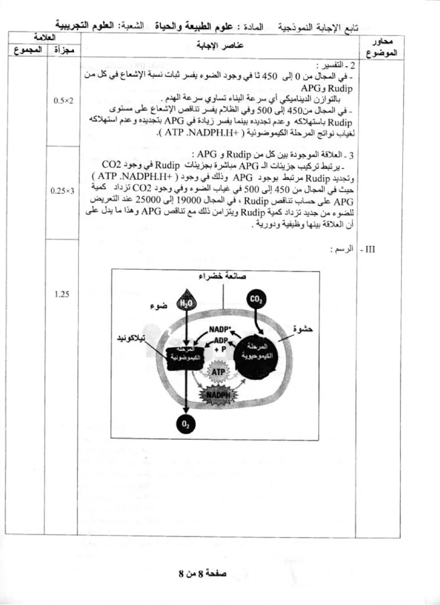 الصفحة 8 من 8