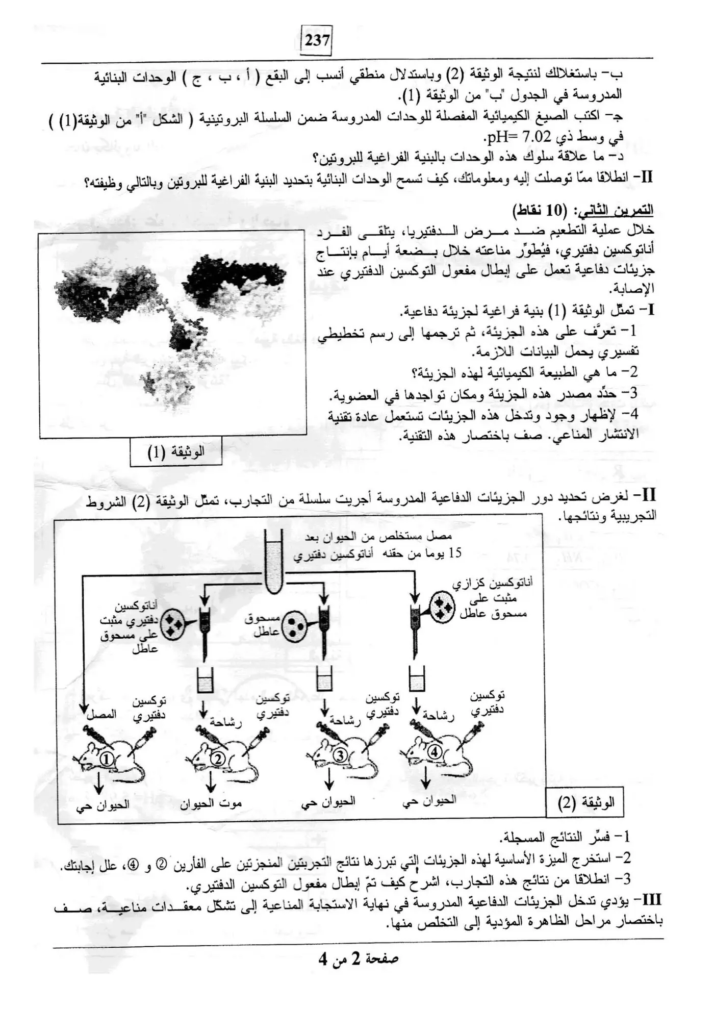 الصفحة 2 من 4