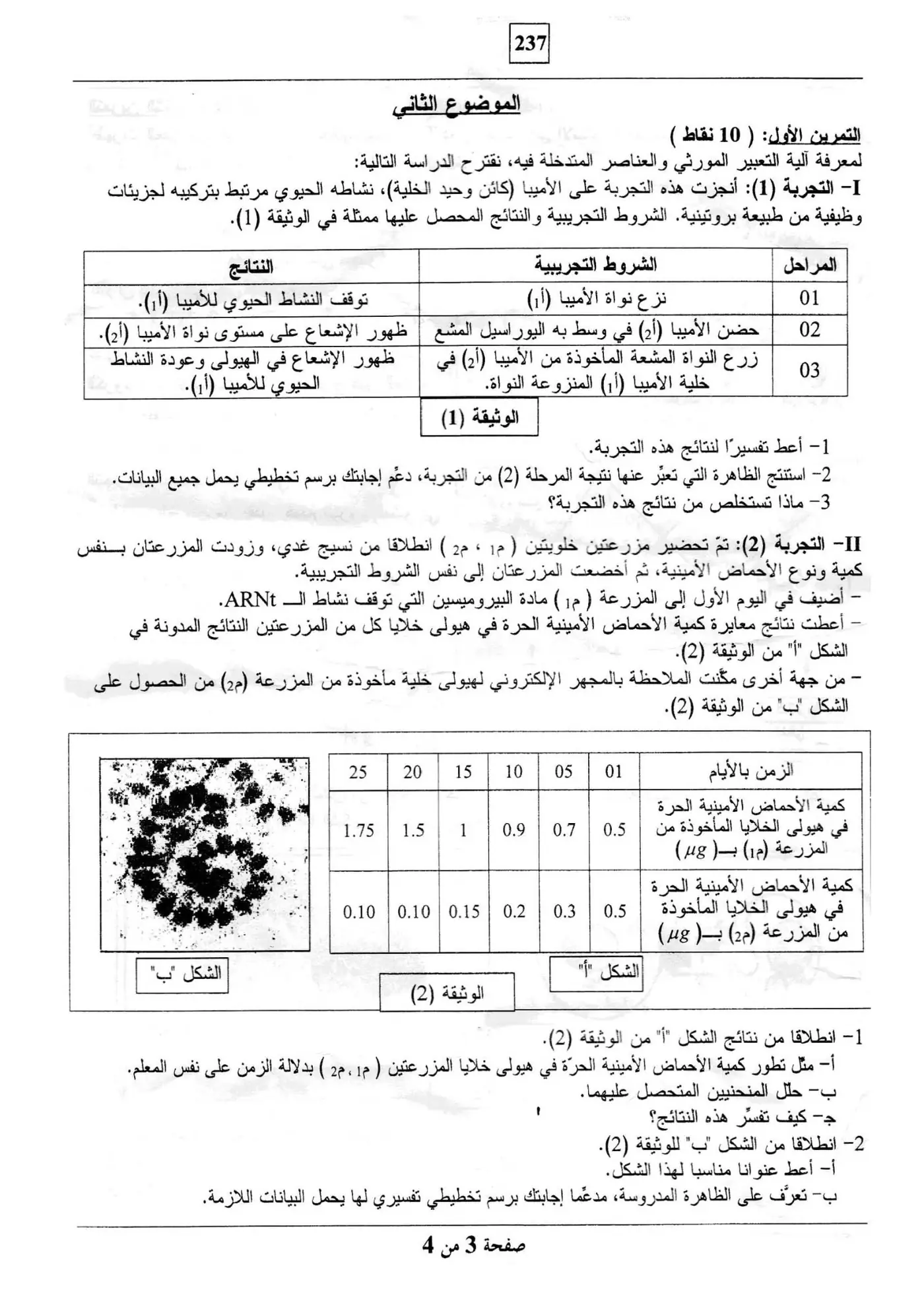 الصفحة 3 من 4