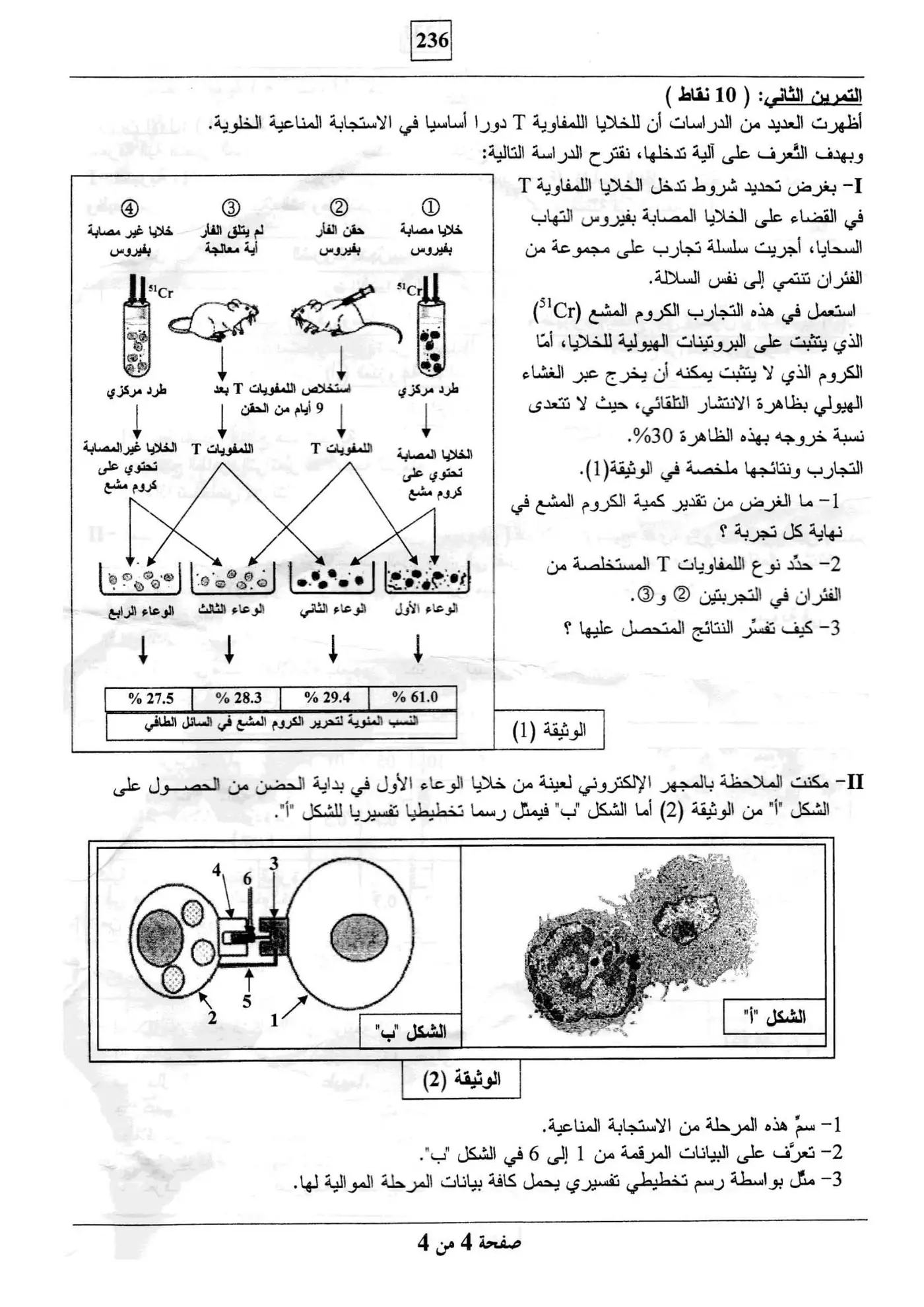 الصفحة 4 من 4