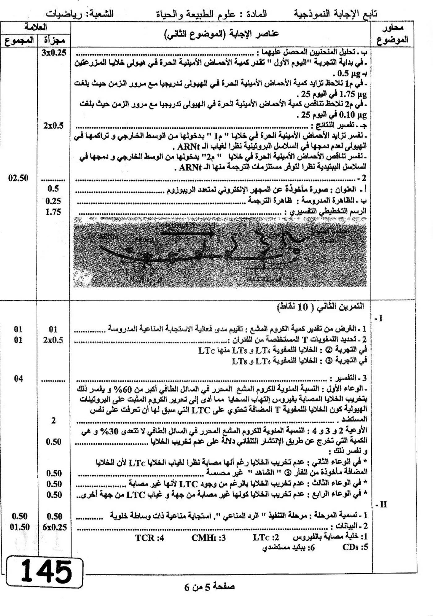 الصفحة 5 من 6