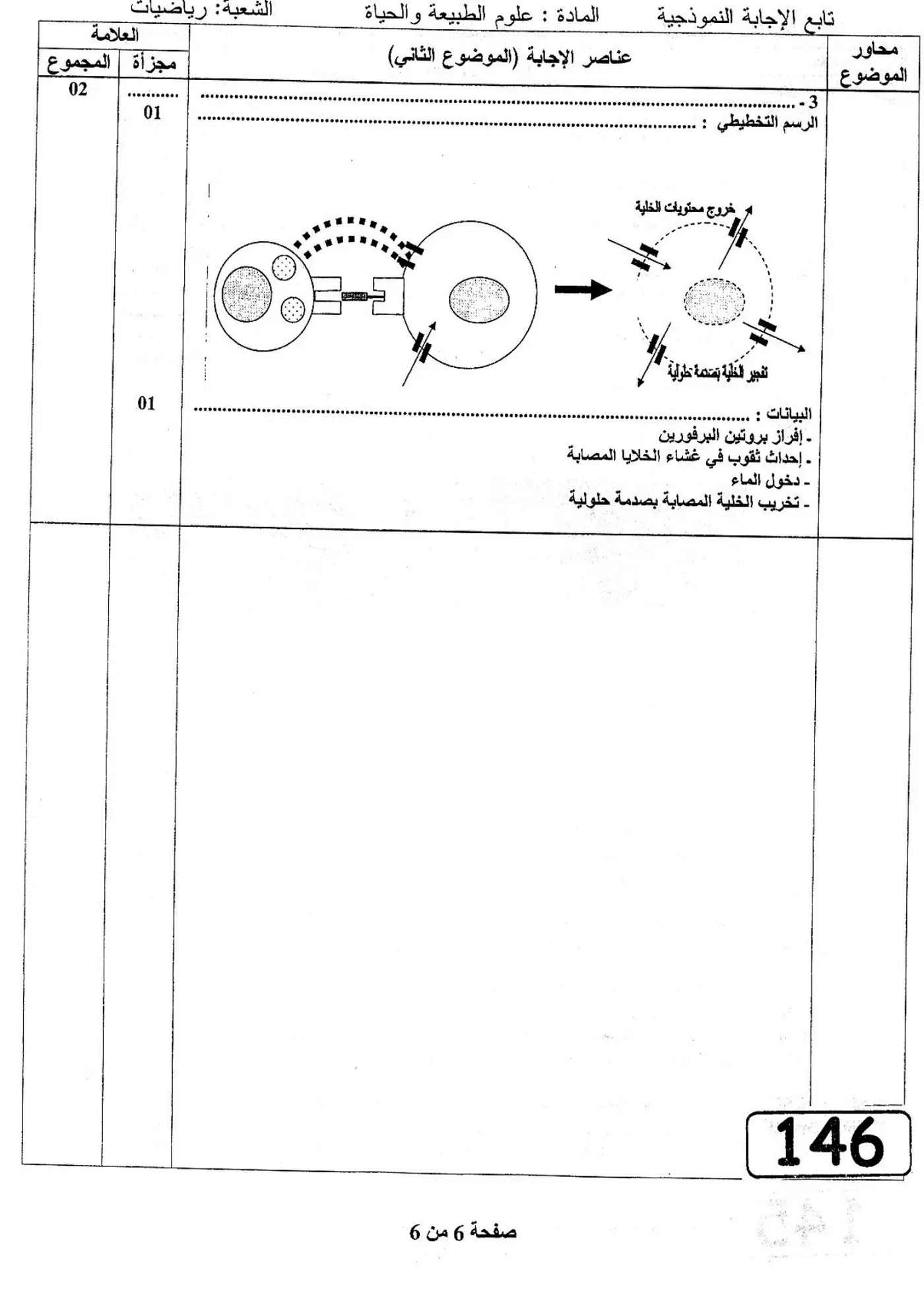 الصفحة 6 من 6