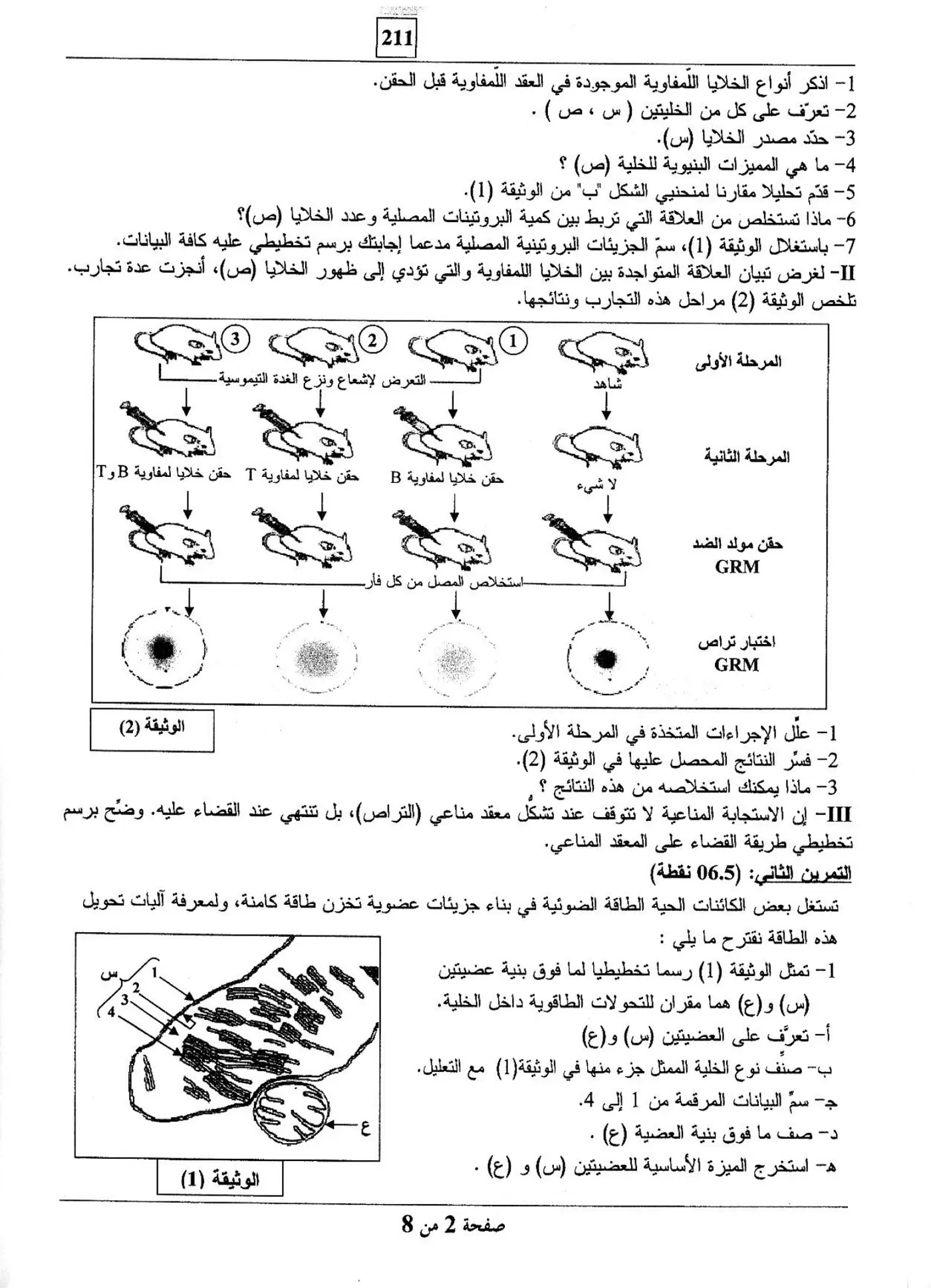 الصفحة 2 من 8