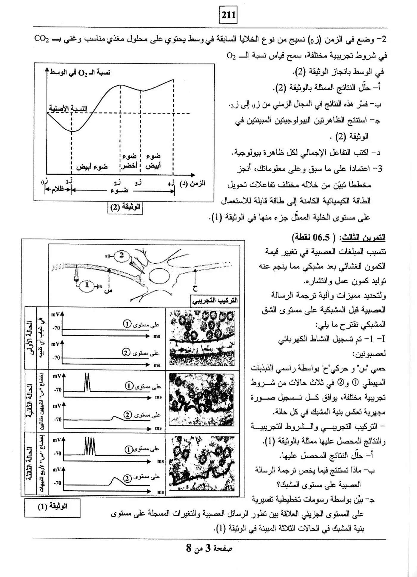 الصفحة 3 من 8