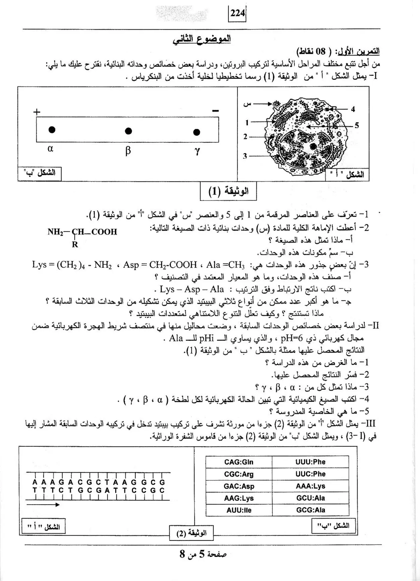 الصفحة 5 من 8