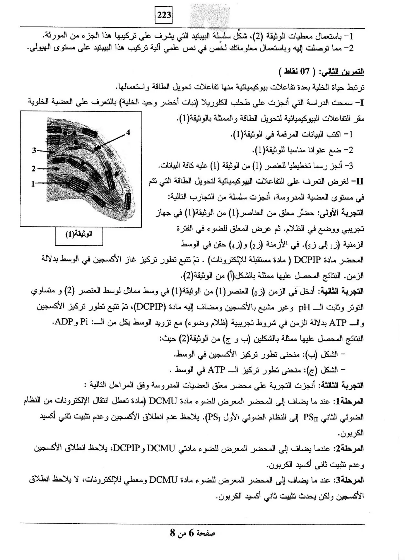 الصفحة 6 من 8
