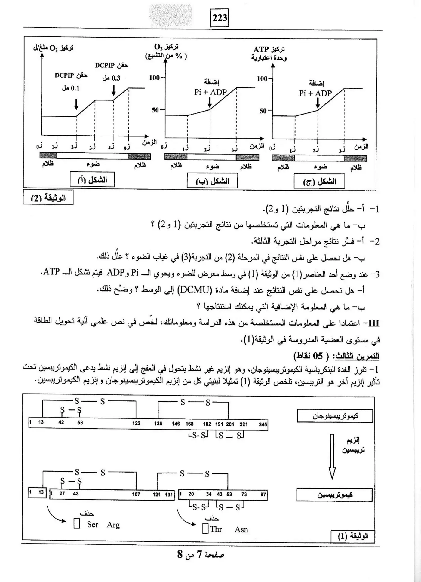 الصفحة 7 من 8