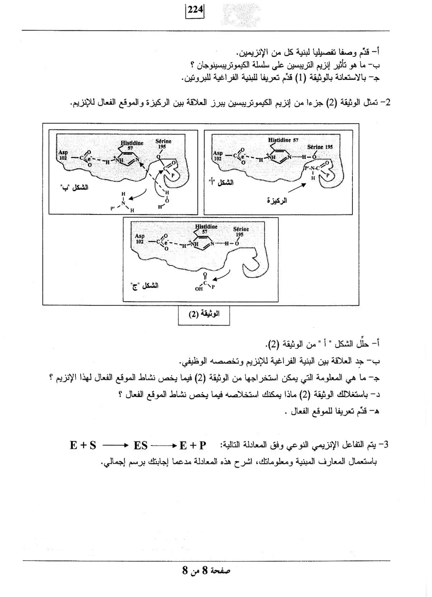 الصفحة 8 من 8