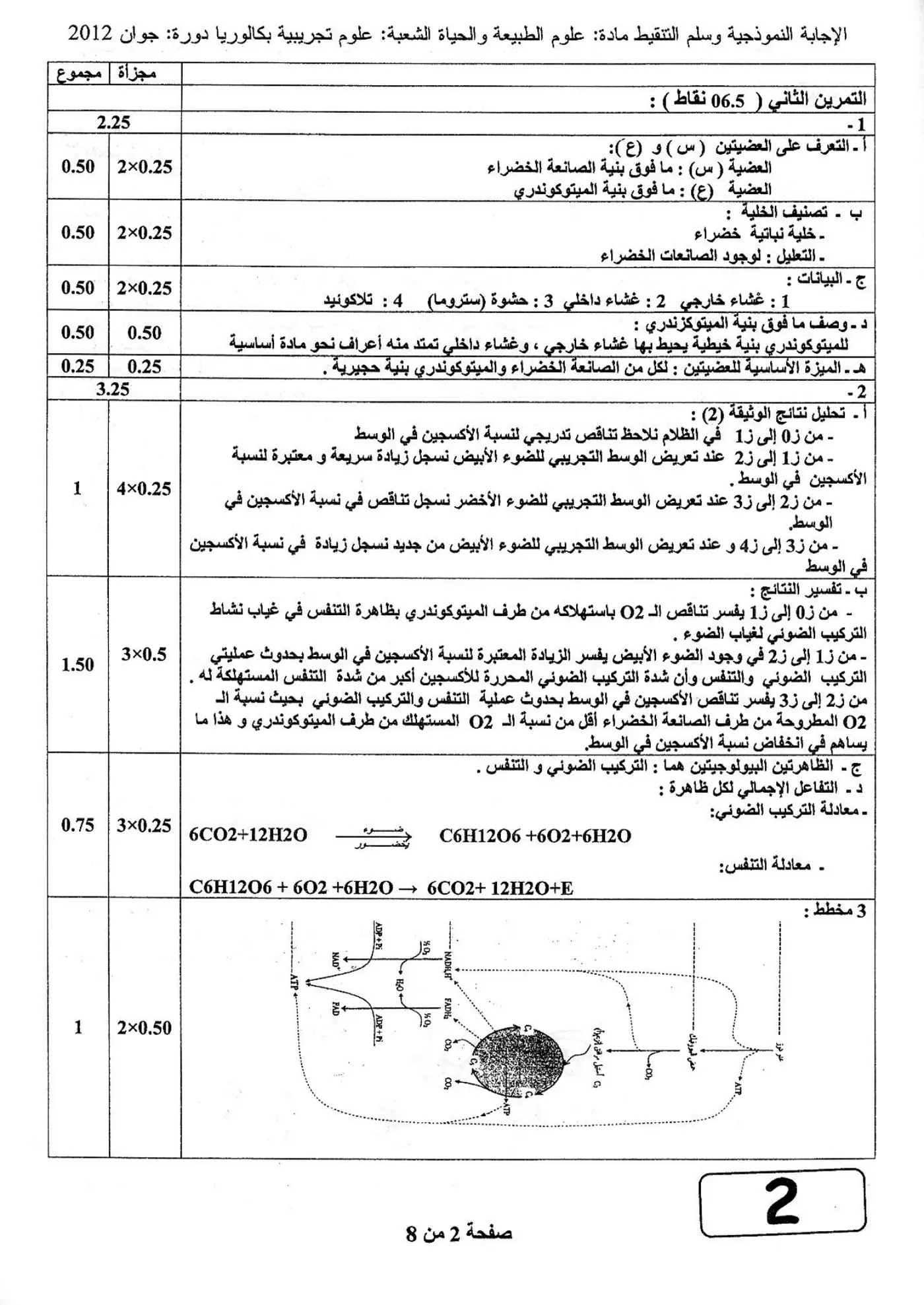 الصفحة 2 من 8