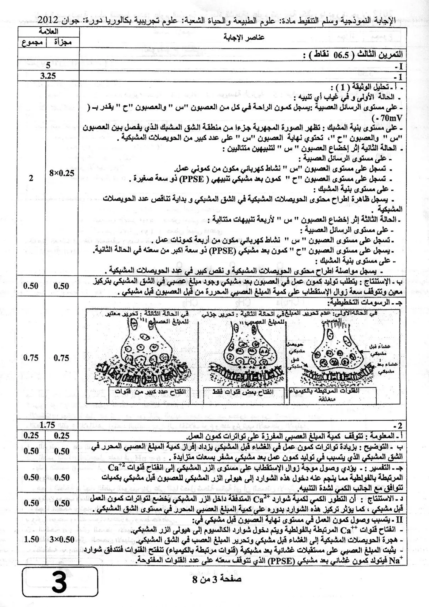الصفحة 3 من 8