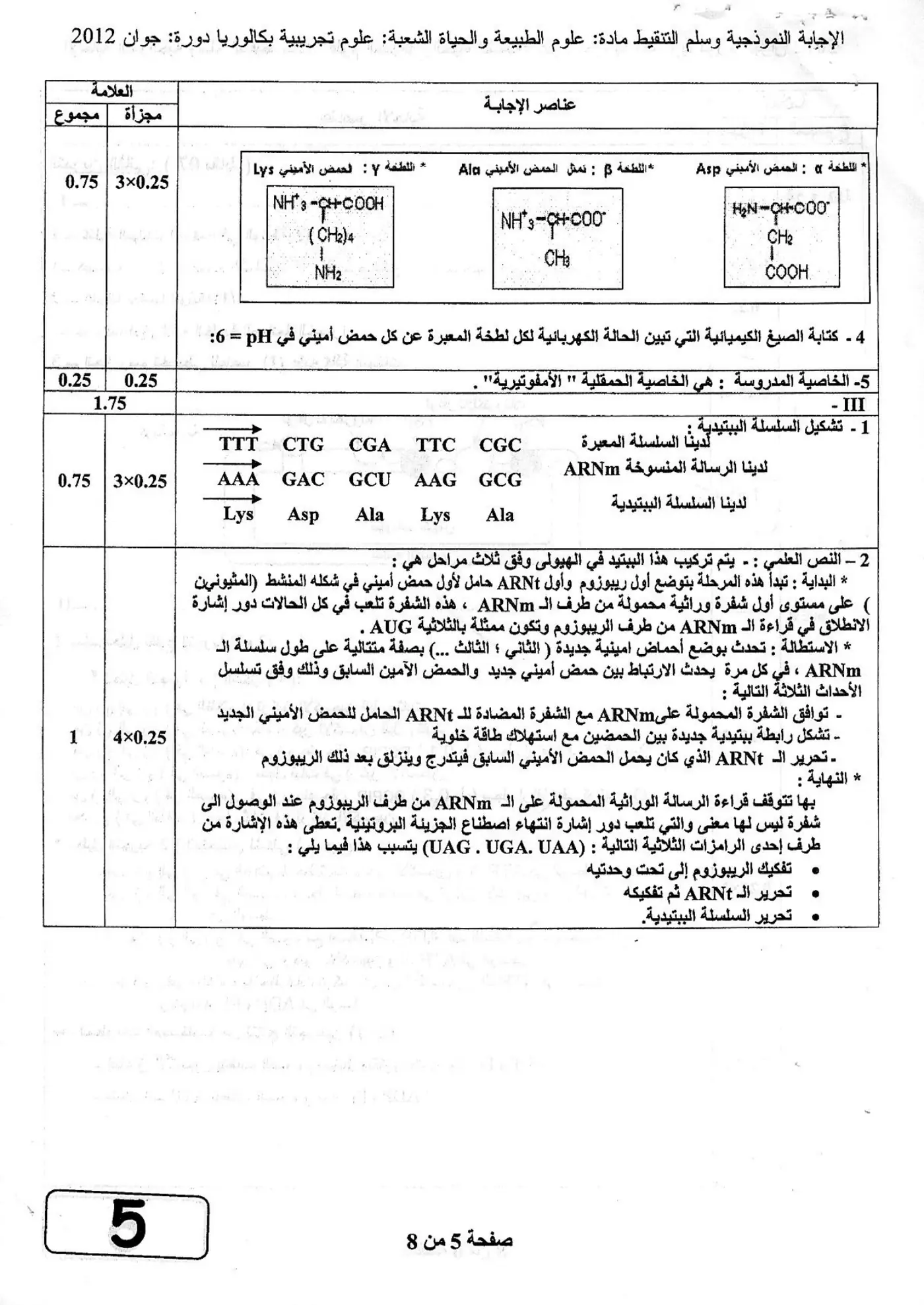 الصفحة 5 من 8