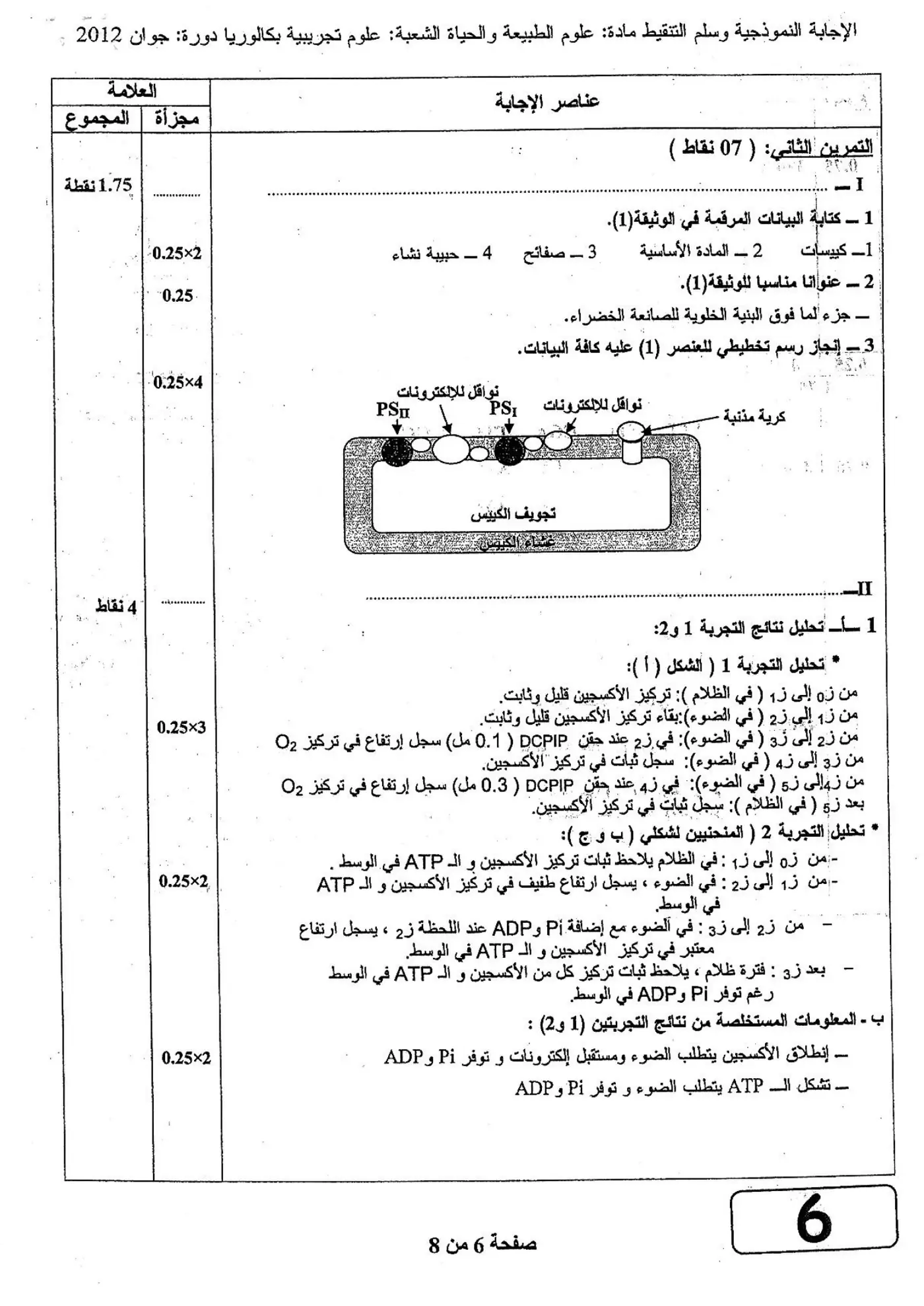 الصفحة 6 من 8