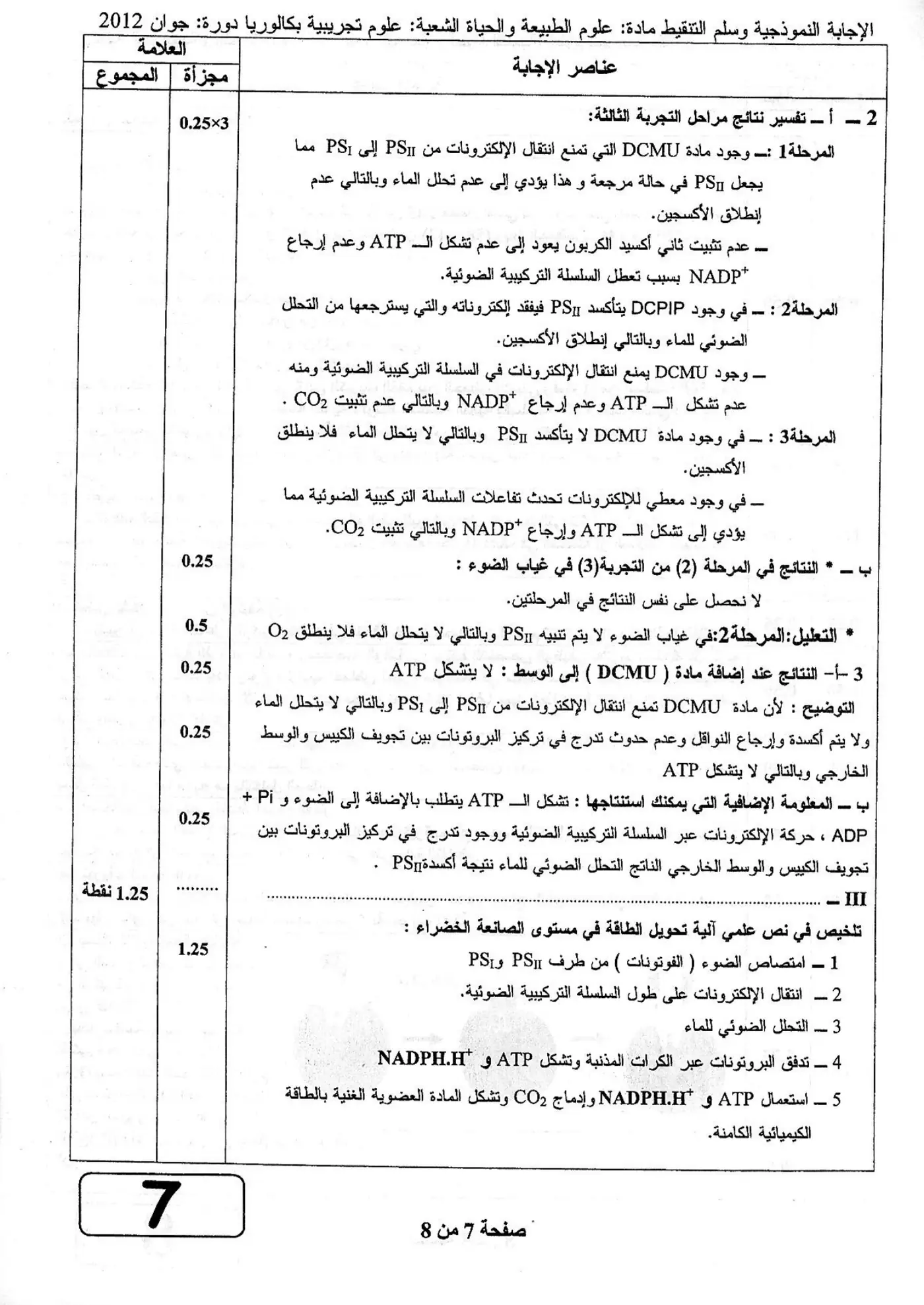 الصفحة 7 من 8