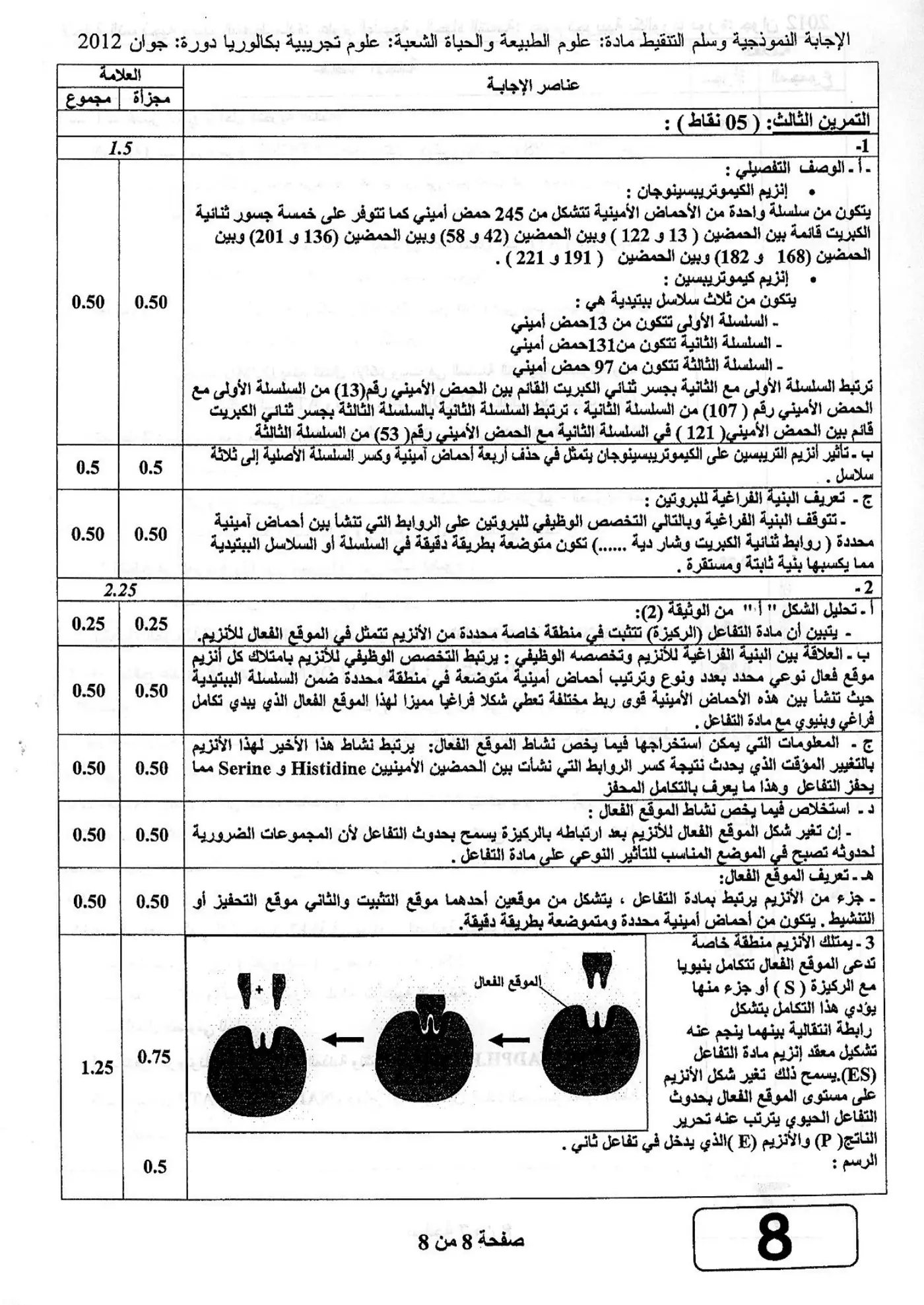 الصفحة 8 من 8