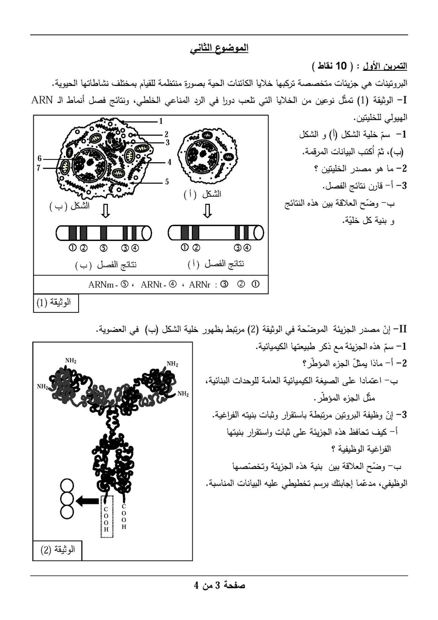 الصفحة 3 من 4