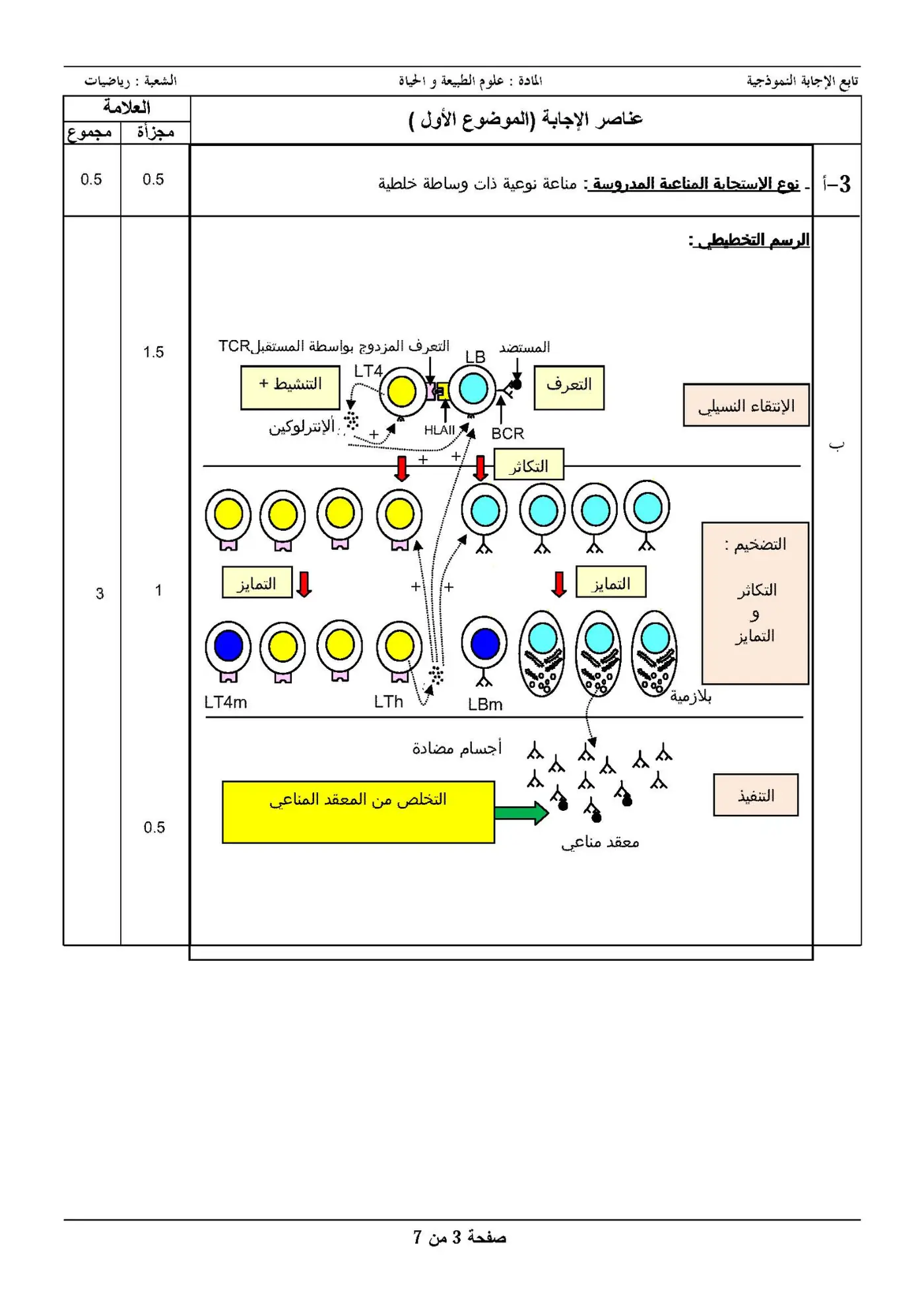 الصفحة 3 من 7