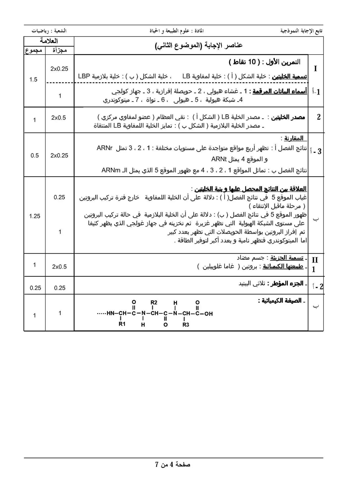 الصفحة 4 من 7