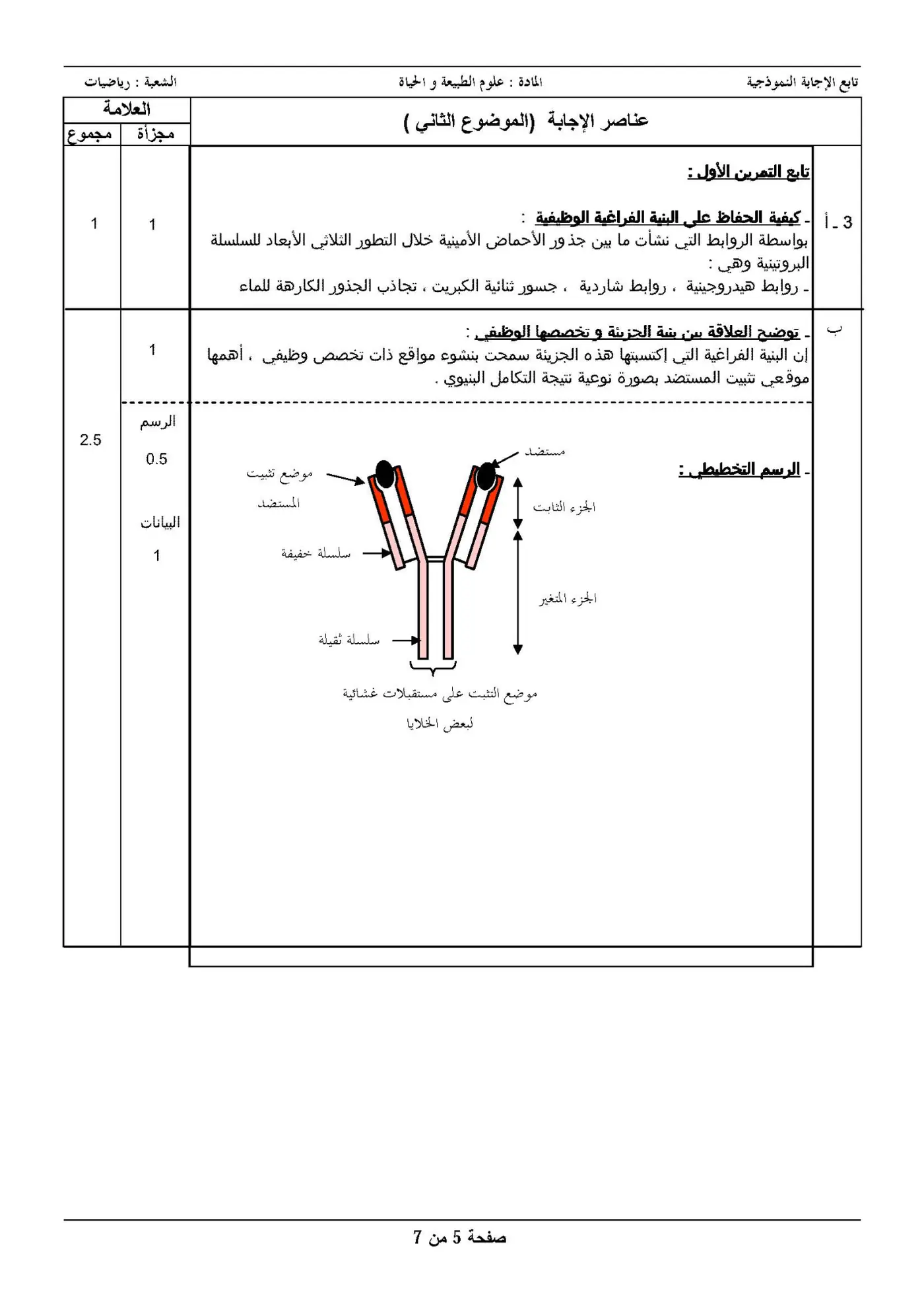 الصفحة 5 من 7