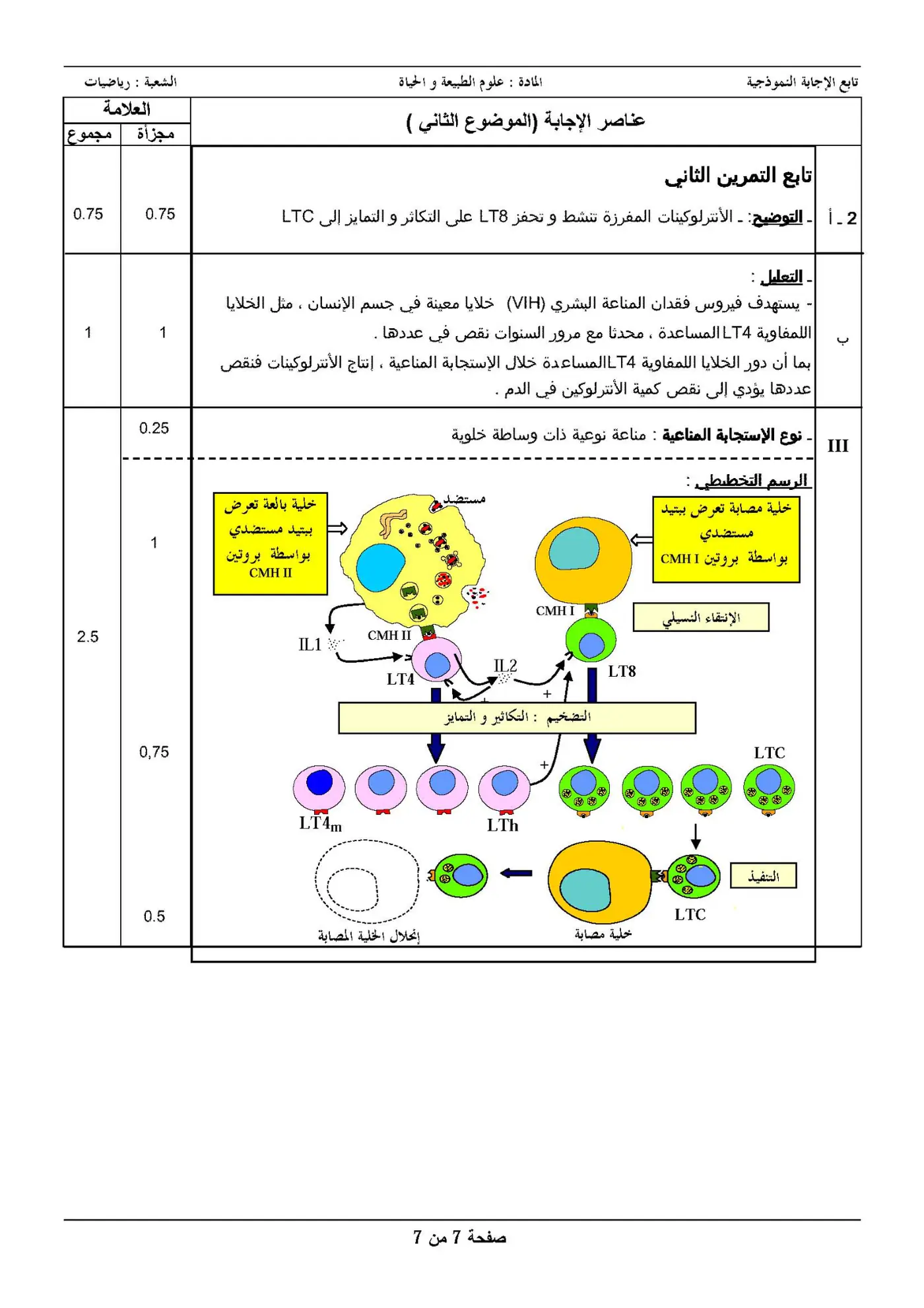 الصفحة 7 من 7
