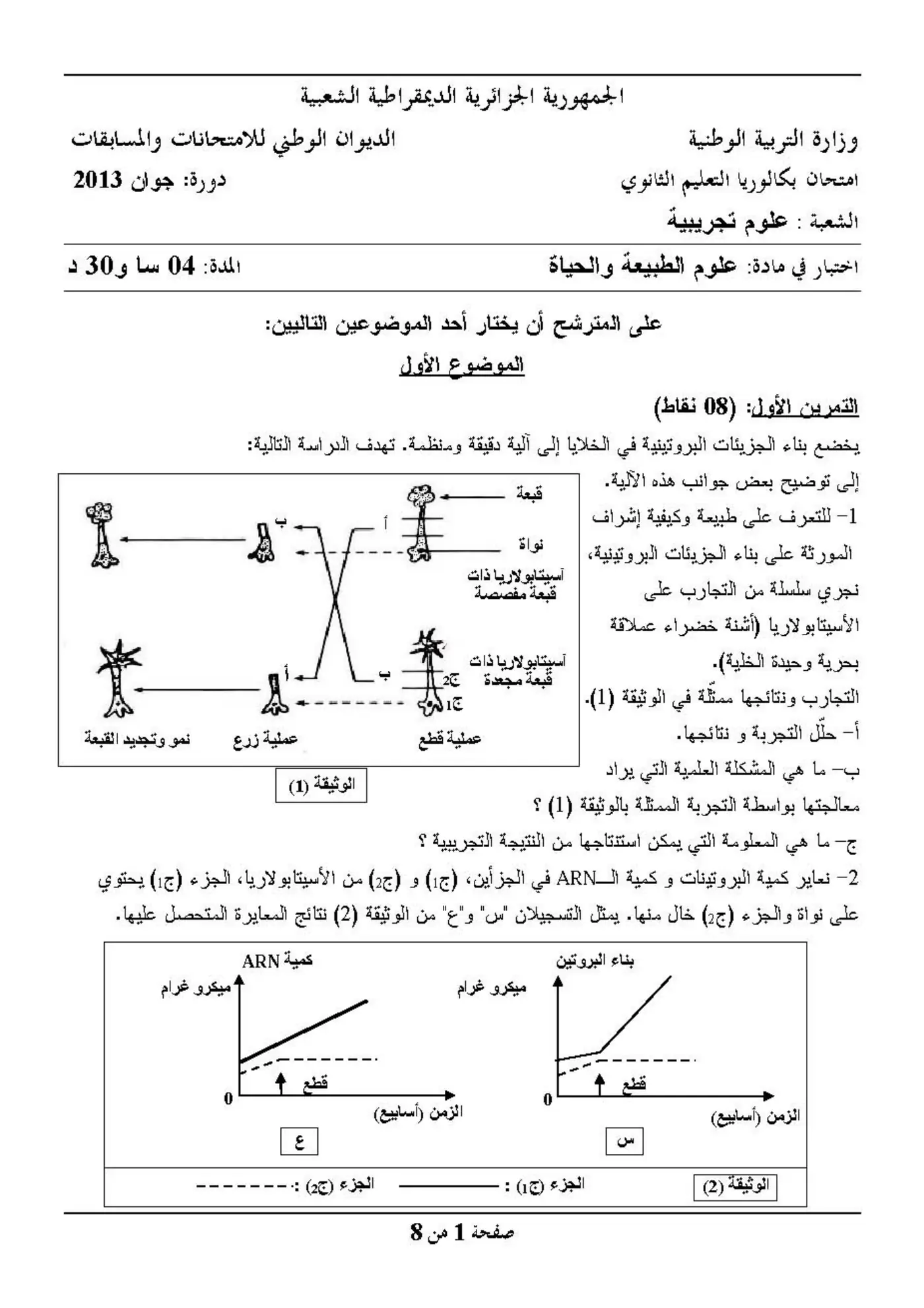 الصفحة 1 من 8