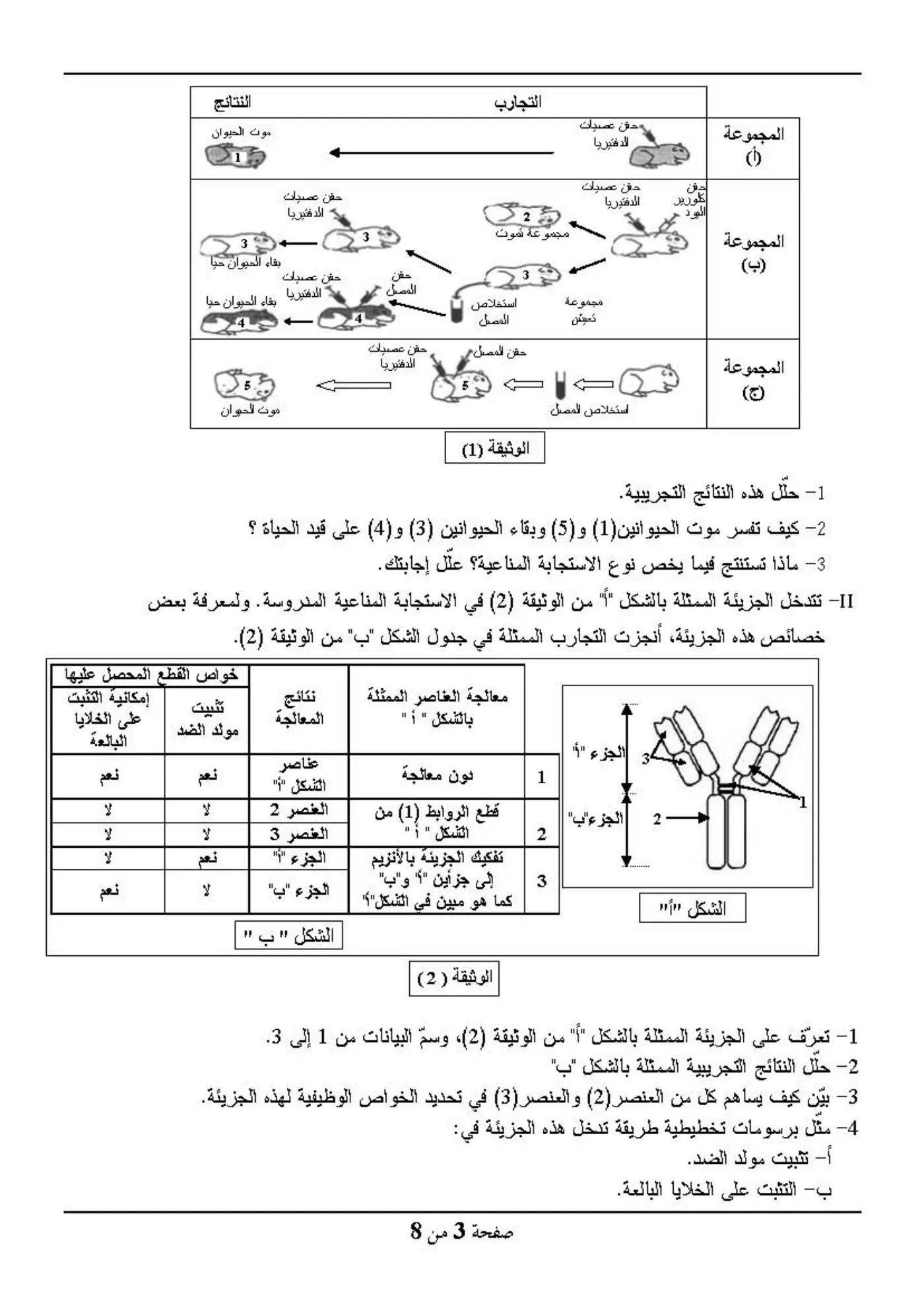الصفحة 3 من 8
