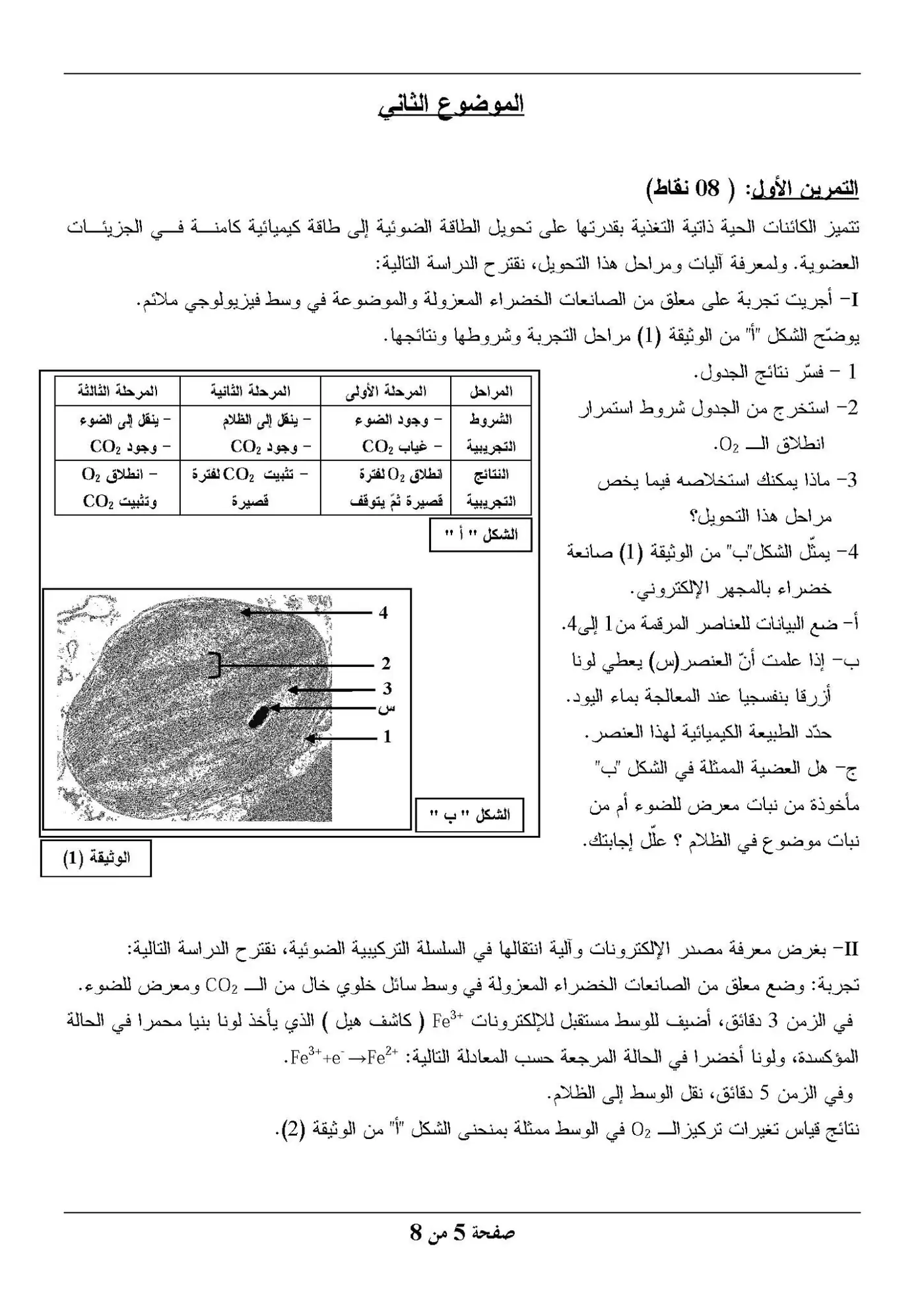 الصفحة 5 من 8