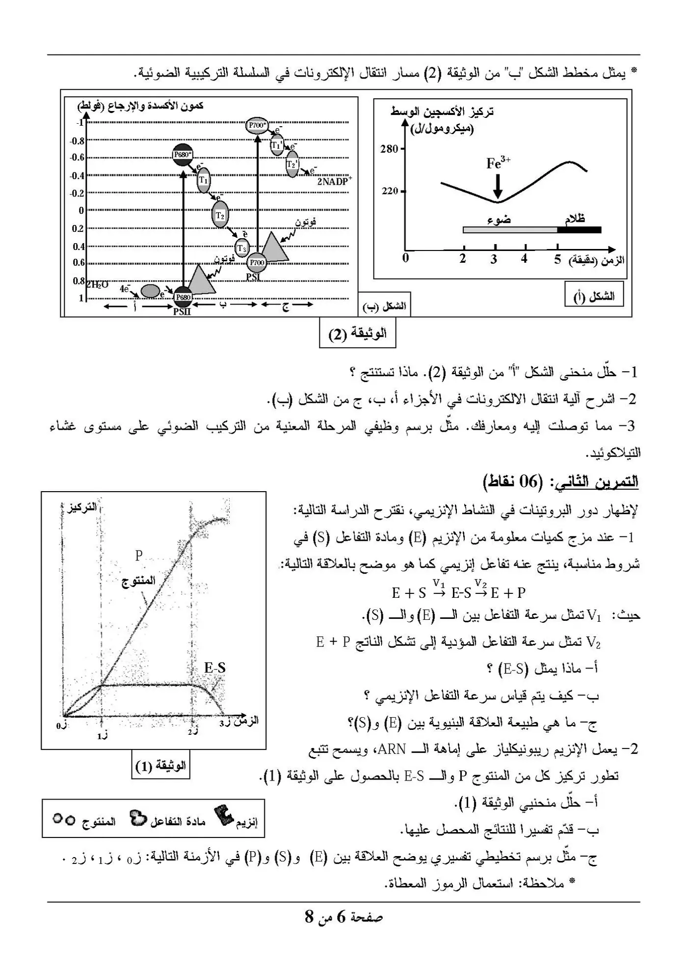 الصفحة 6 من 8