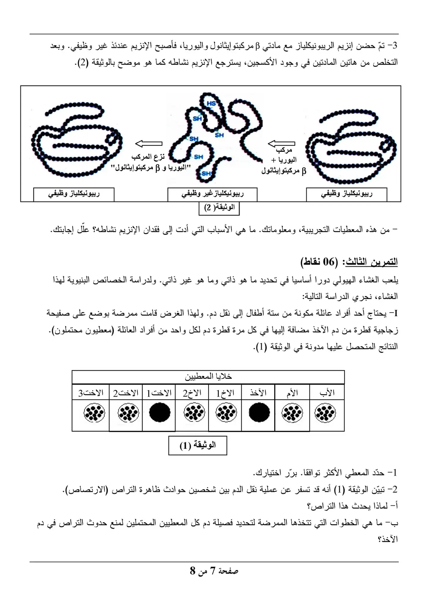 الصفحة 7 من 8