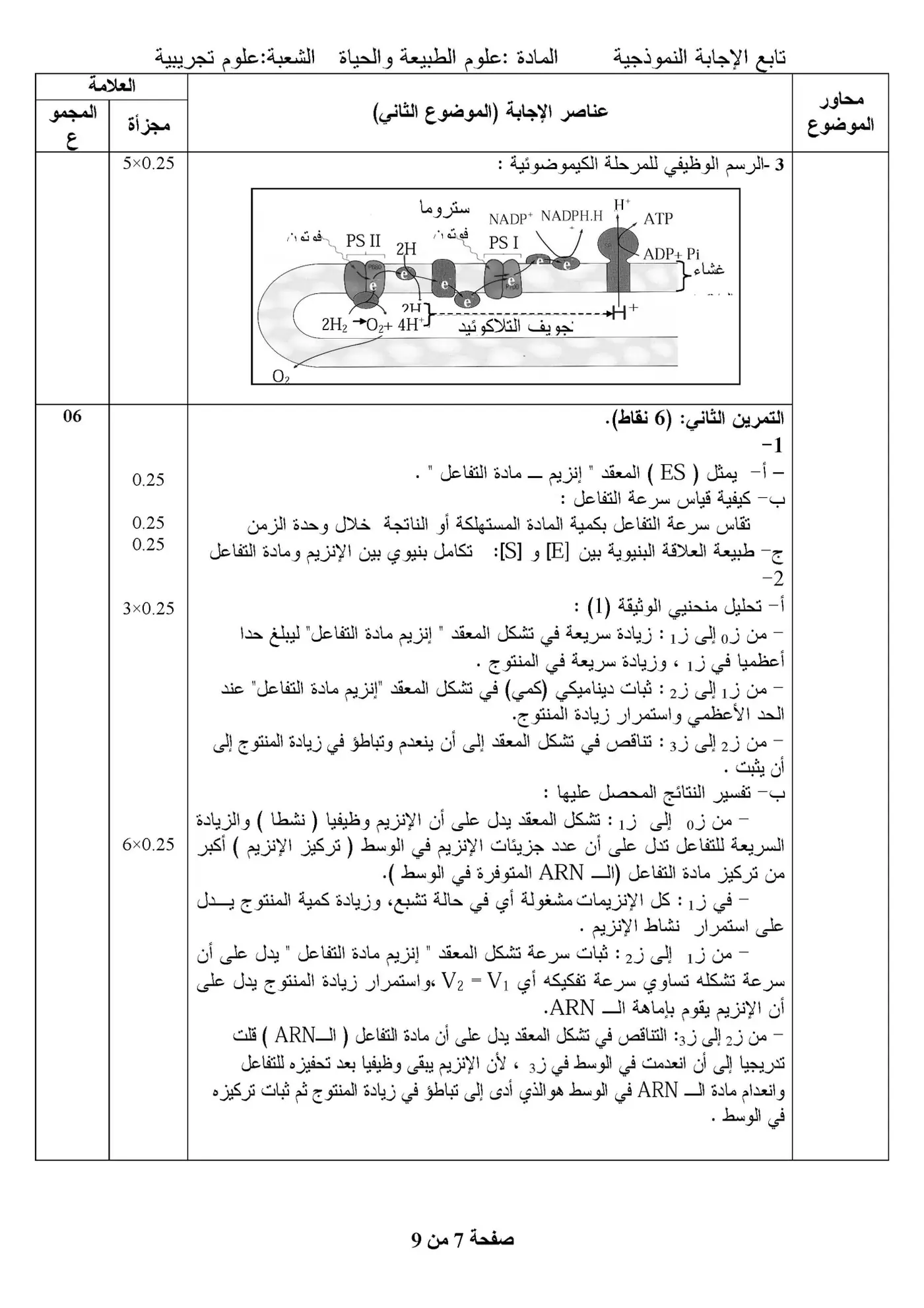 الصفحة 7 من 9