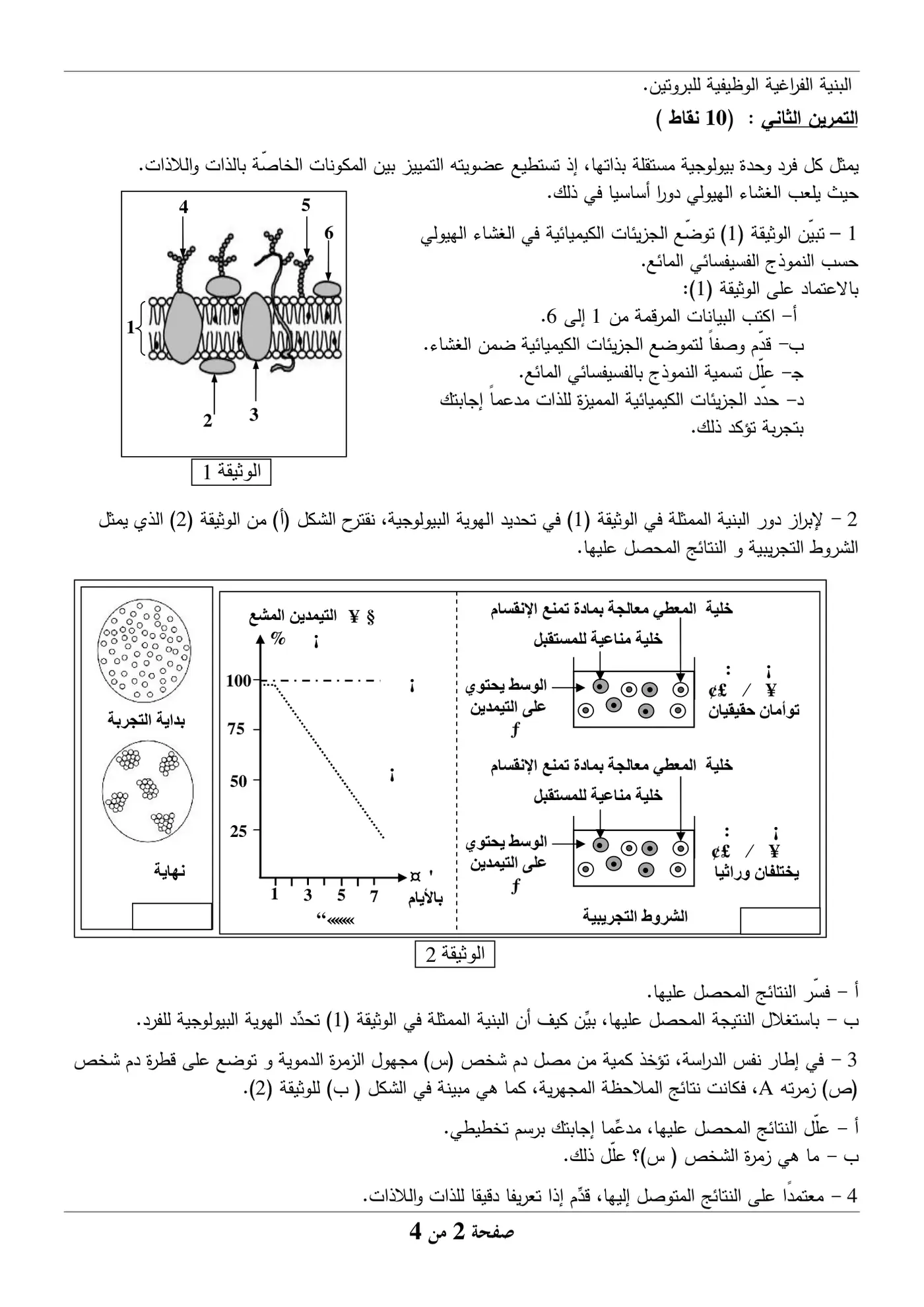 الصفحة 2 من 4