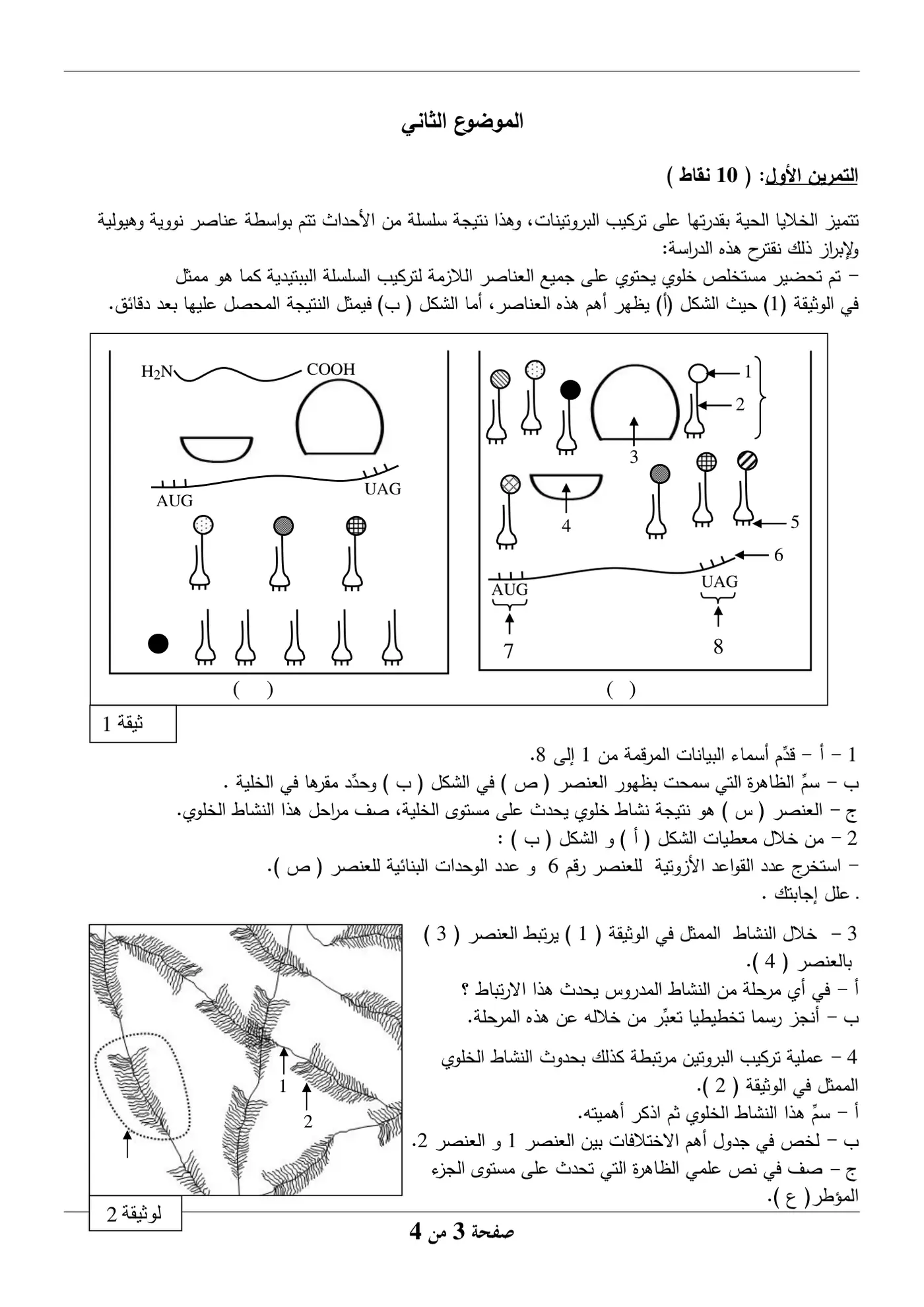 الصفحة 3 من 4