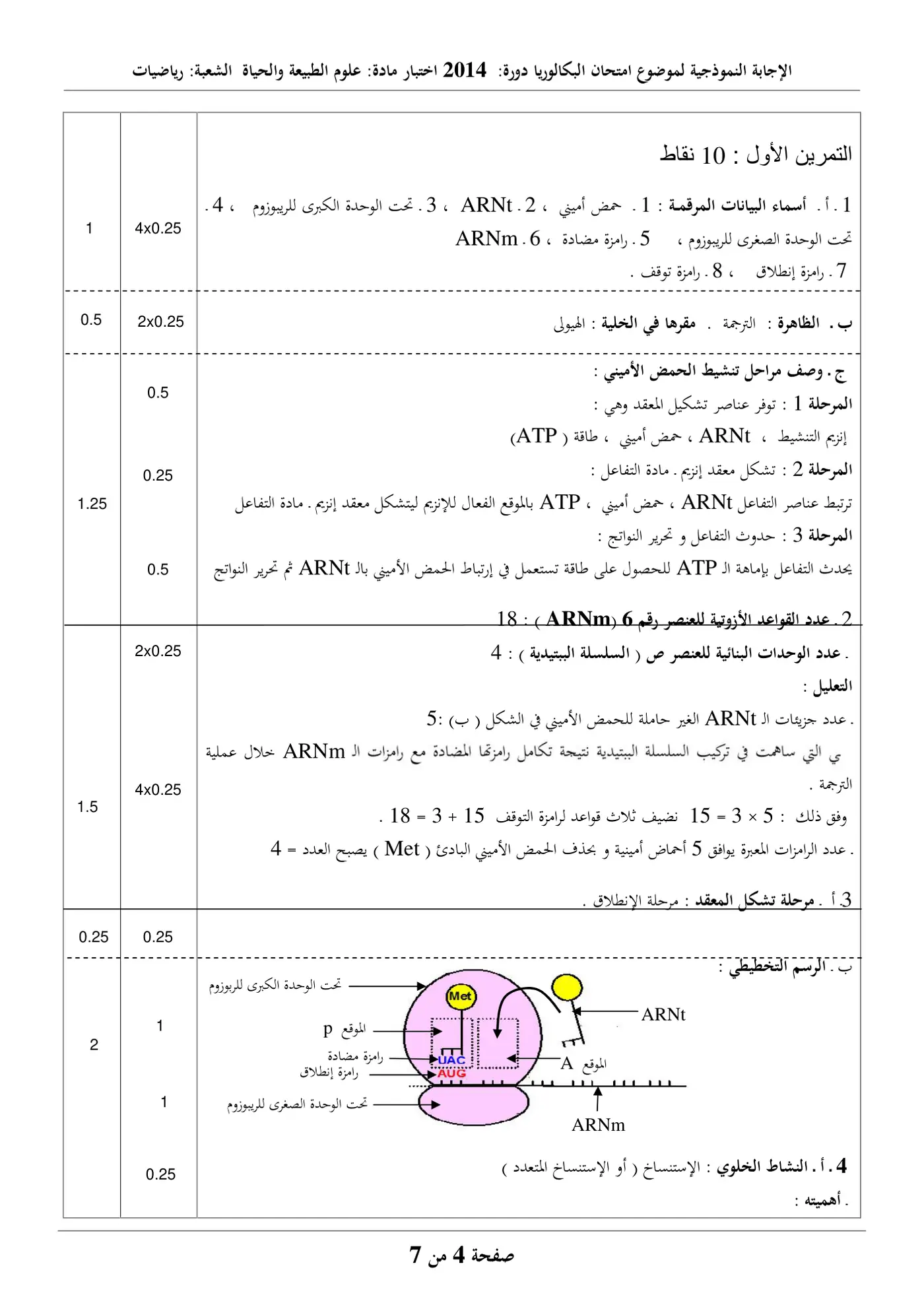 الصفحة 4 من 7