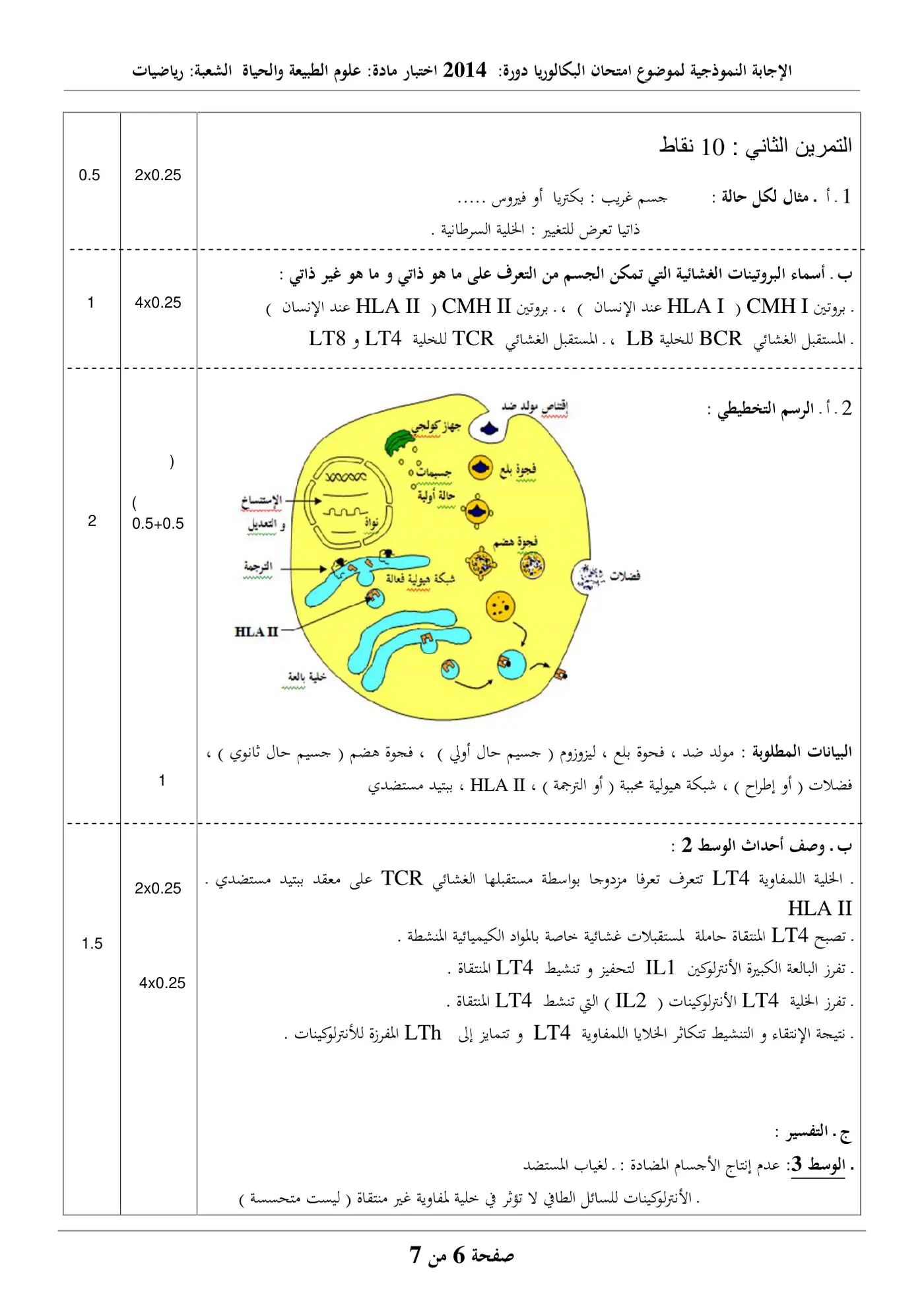 الصفحة 6 من 7
