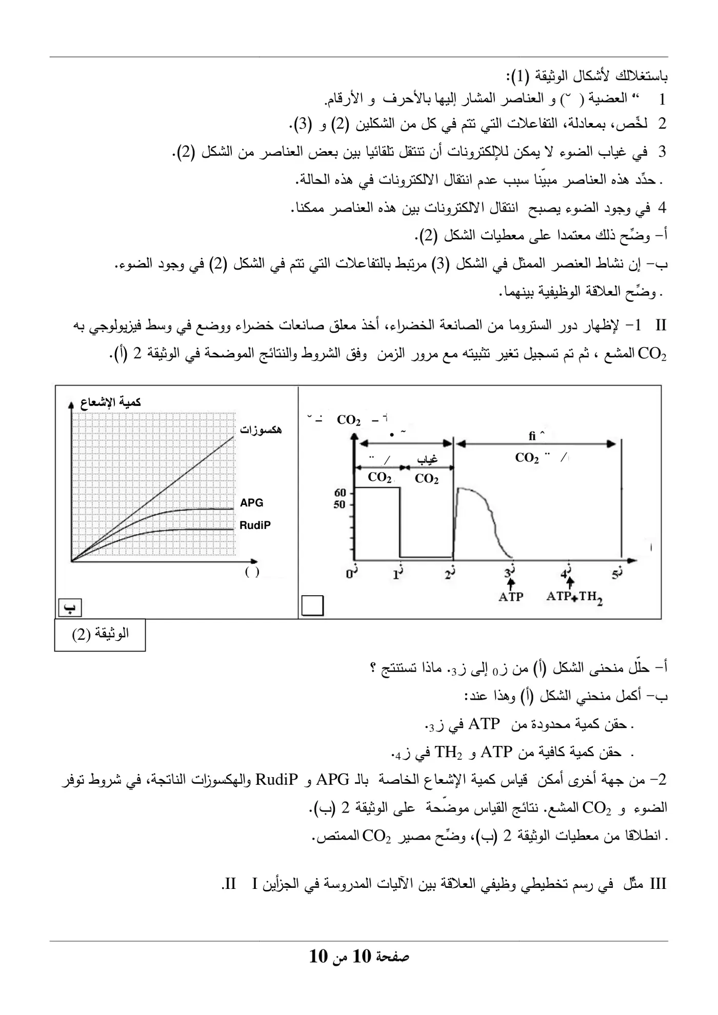 الصفحة 10 من 10
