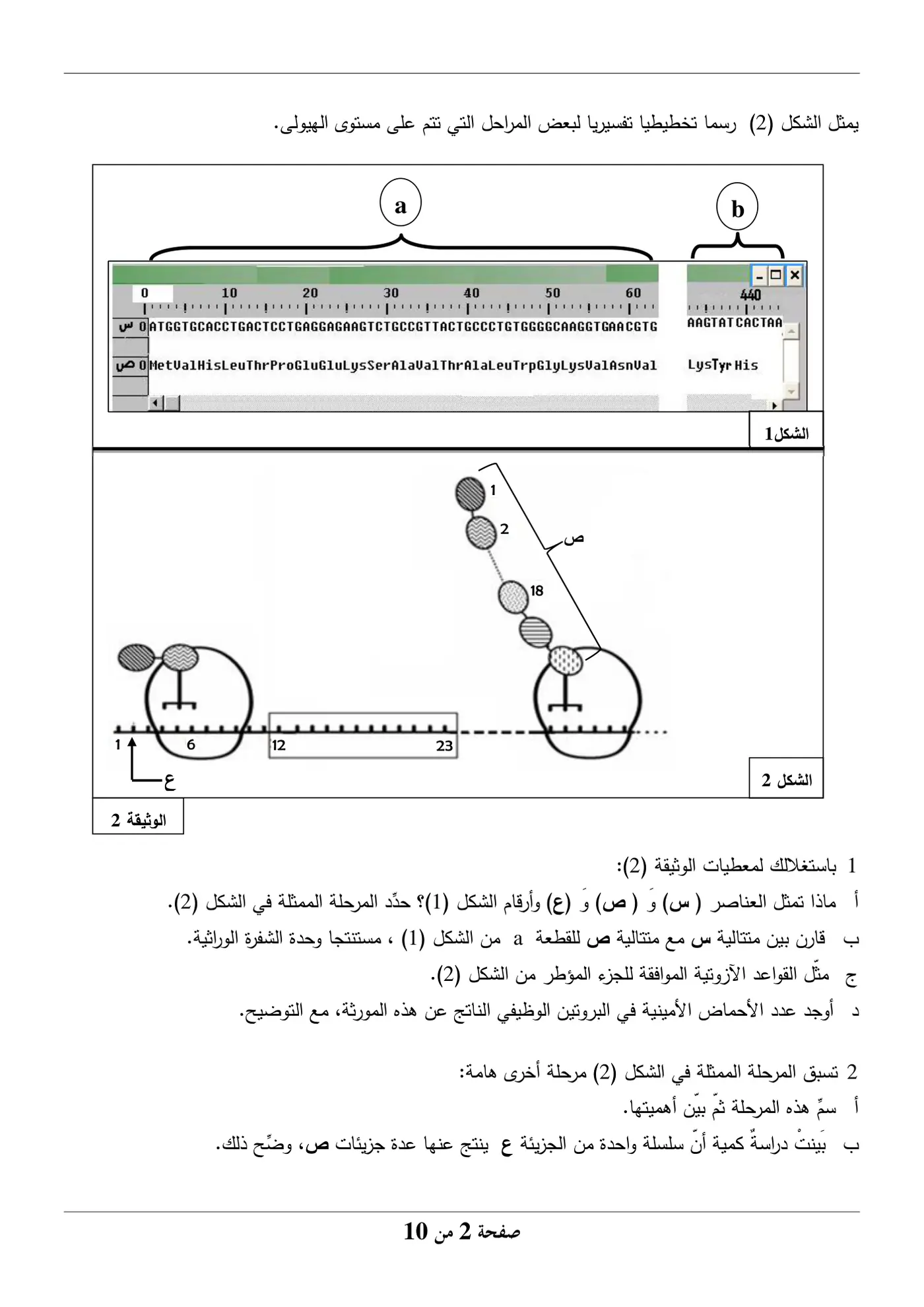 الصفحة 2 من 10