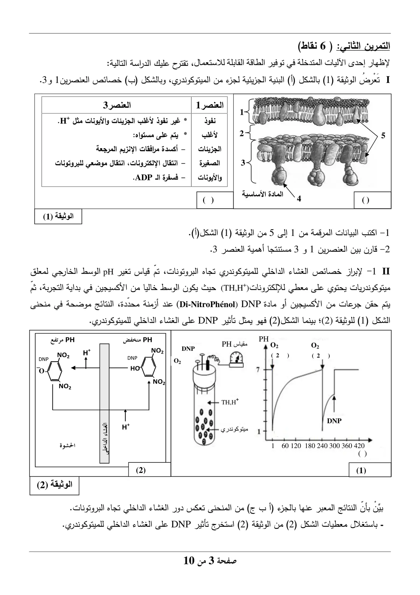 الصفحة 3 من 10