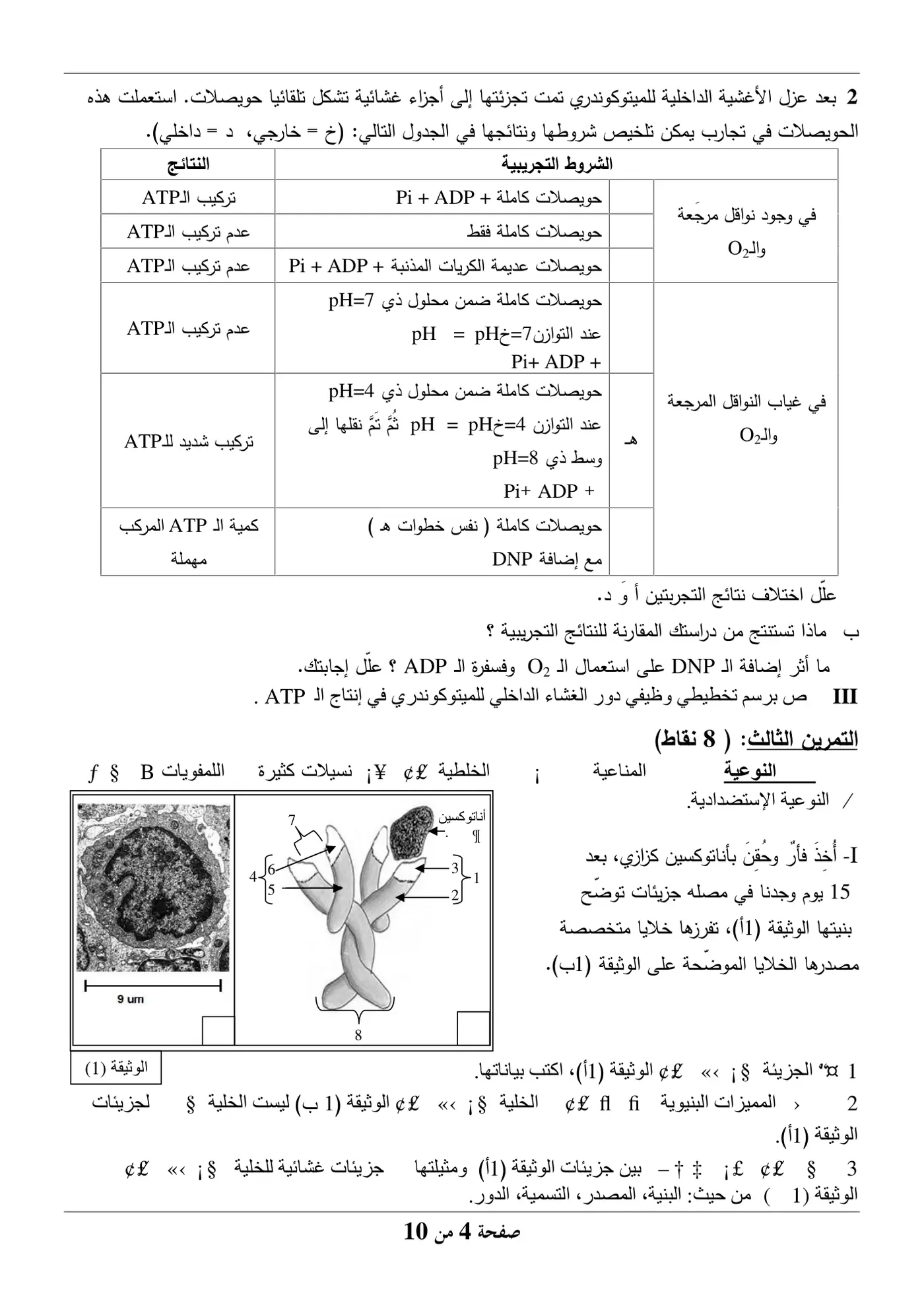 الصفحة 4 من 10