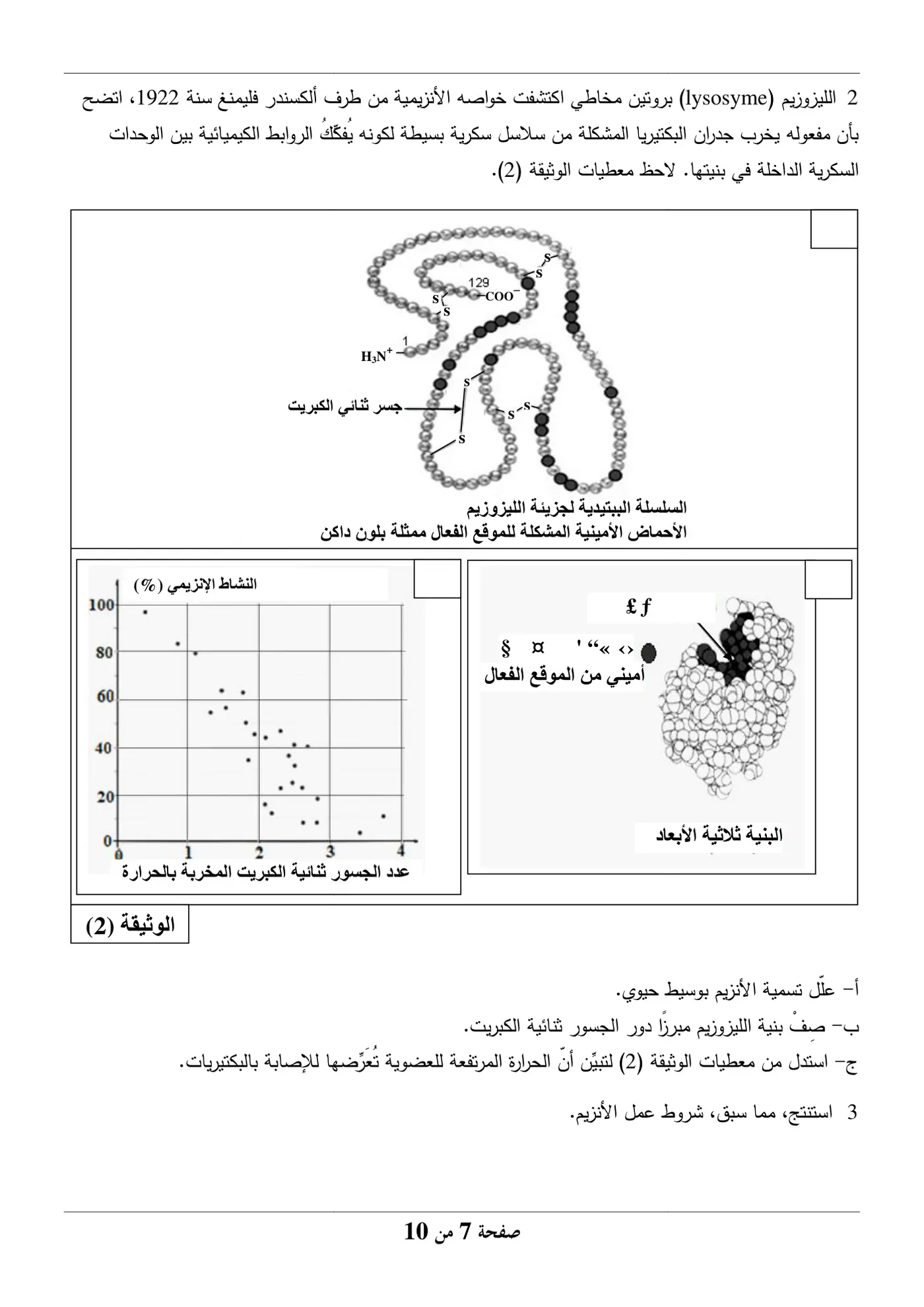 الصفحة 7 من 10