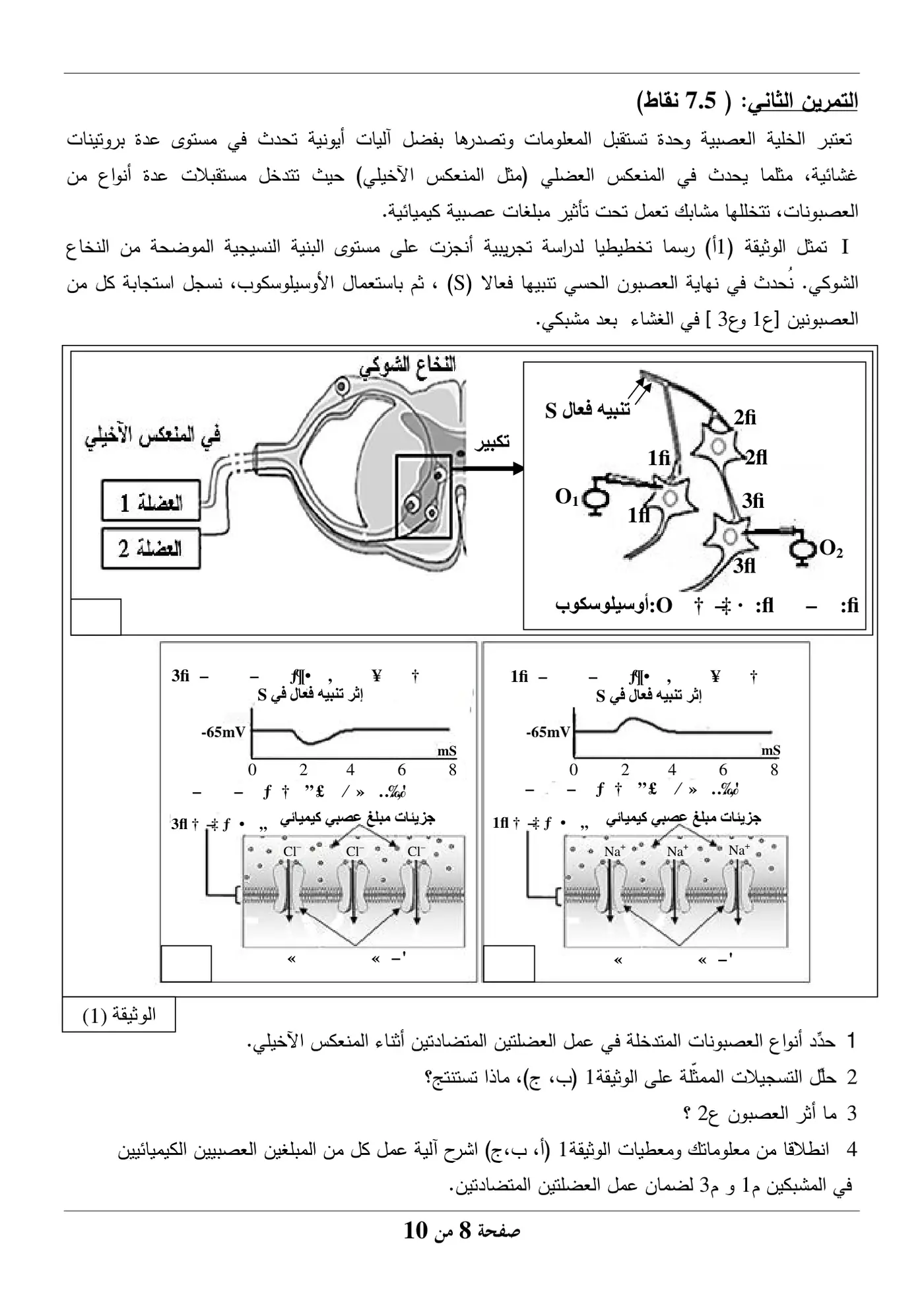 الصفحة 8 من 10