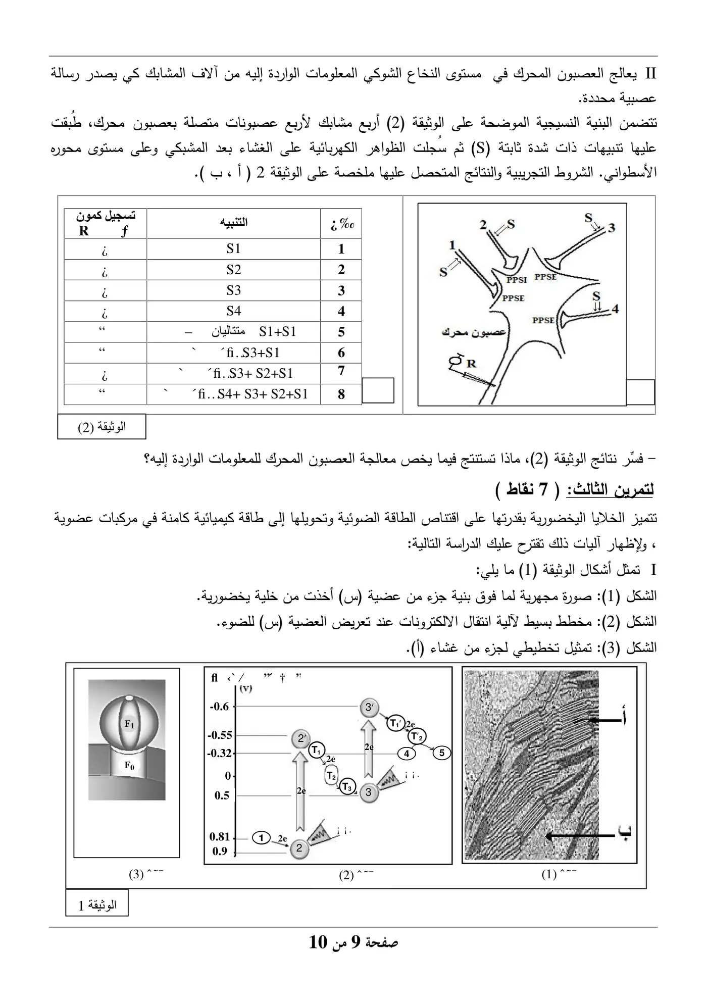 الصفحة 9 من 10