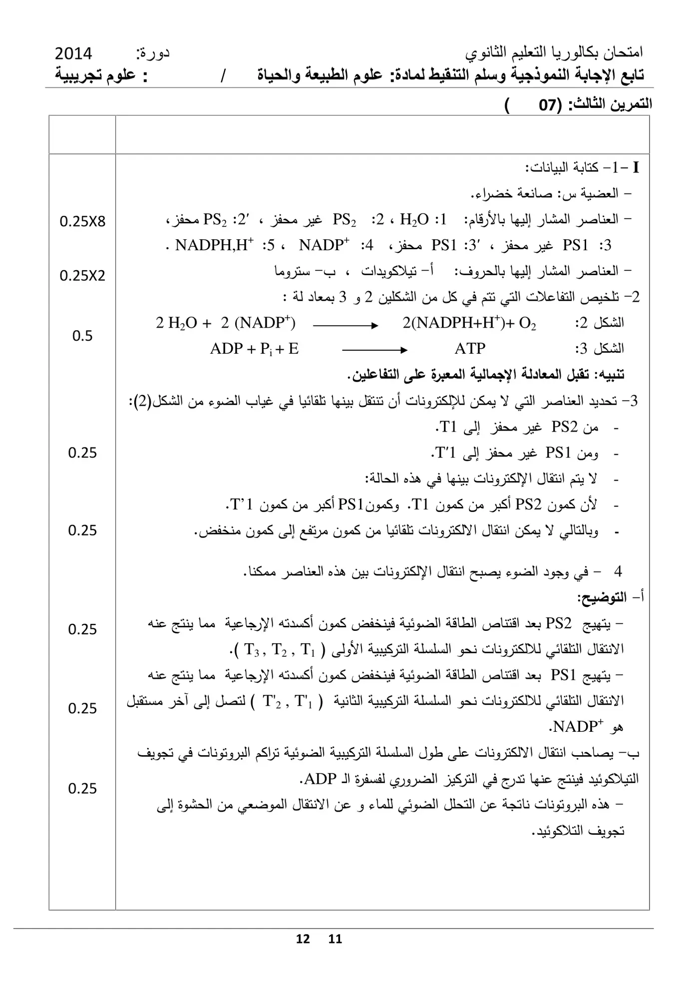 الصفحة 11 من 12