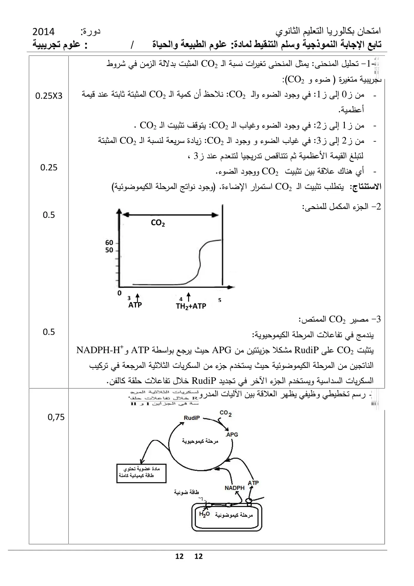 الصفحة 12 من 12