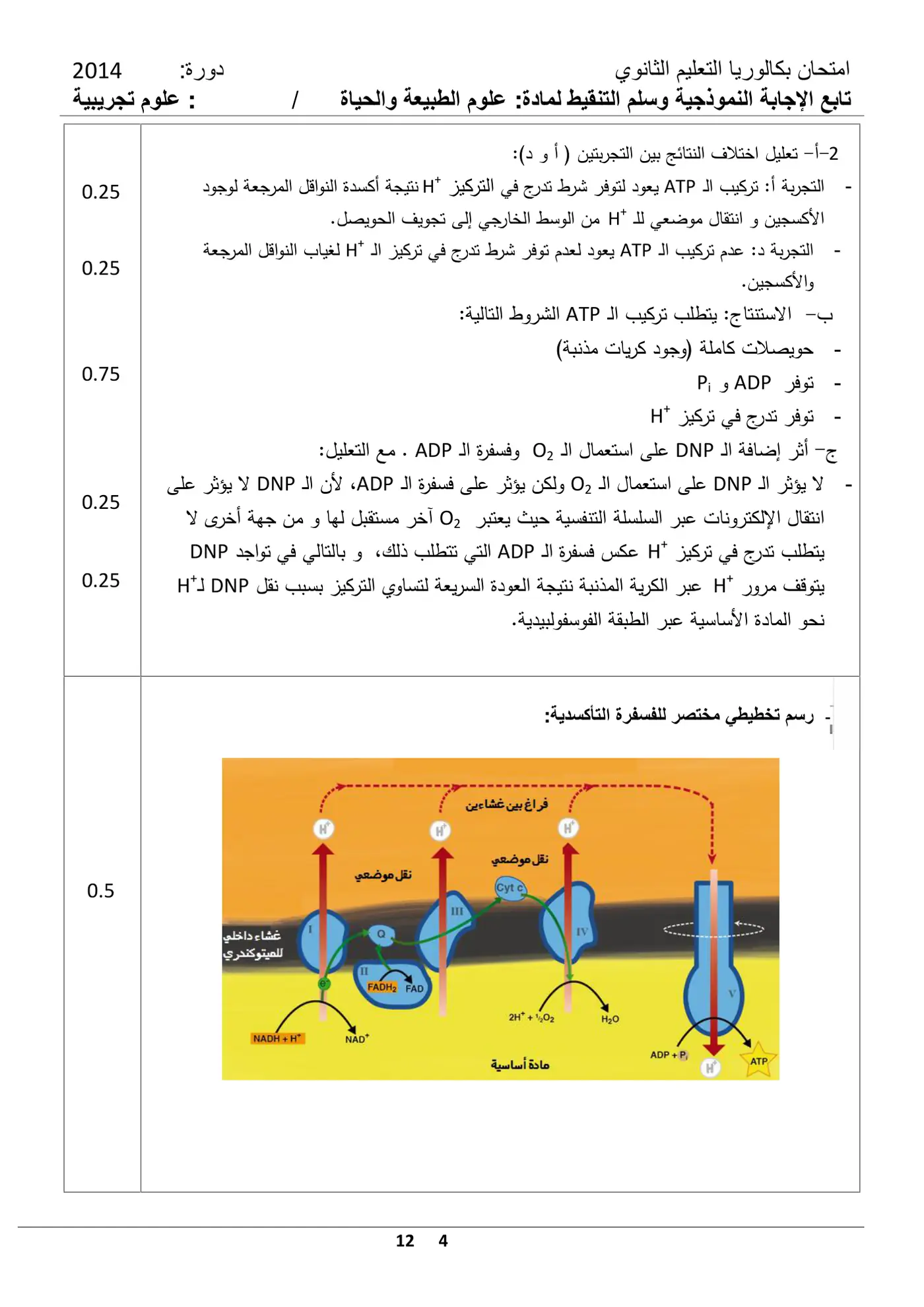 الصفحة 4 من 12
