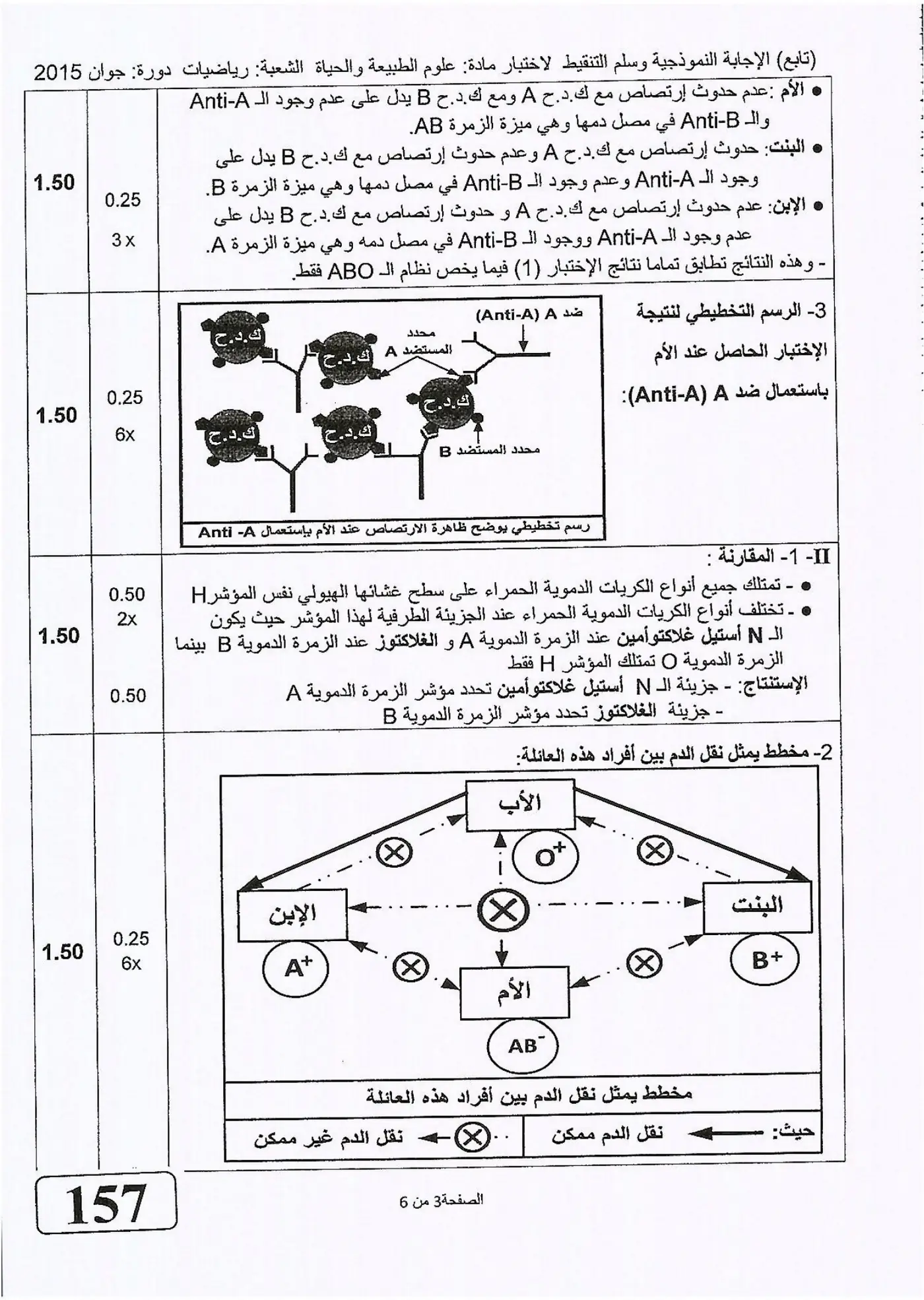 الصفحة 3 من 6