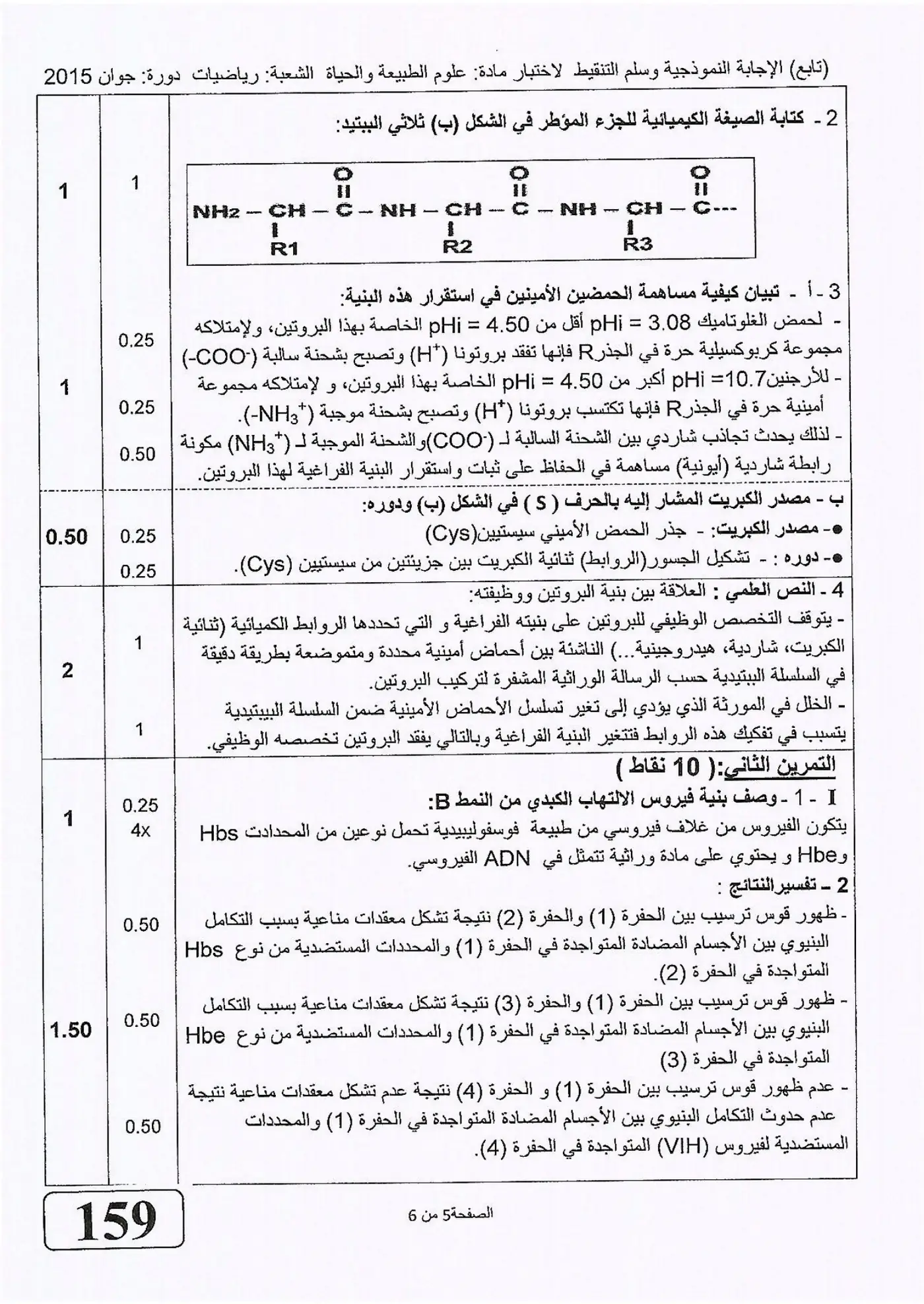 الصفحة 5 من 6
