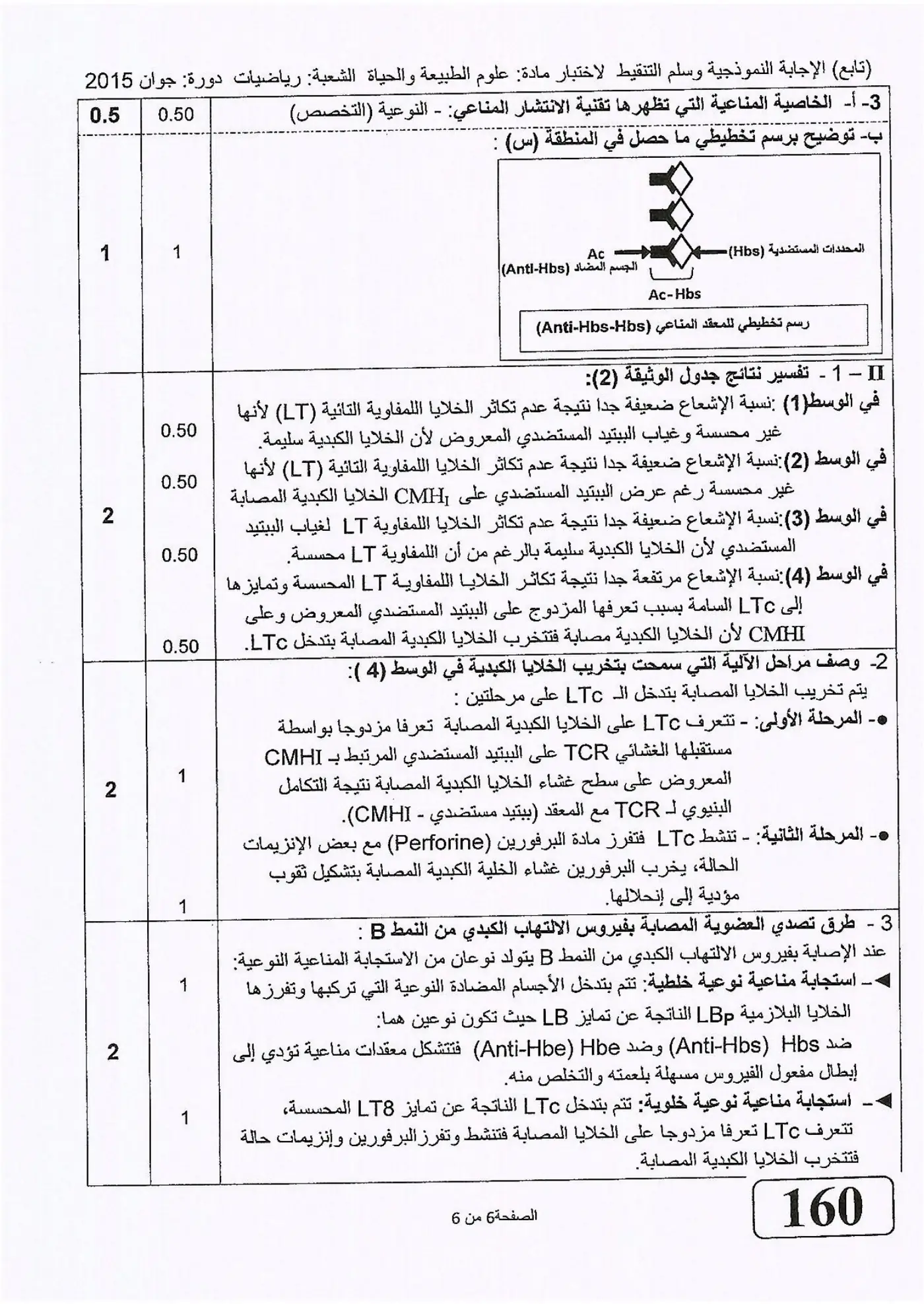 الصفحة 6 من 6